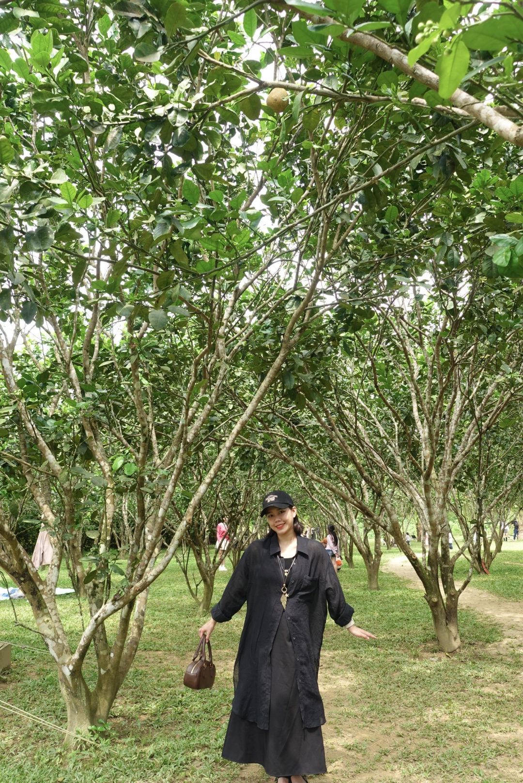 DSC08213.jpeg