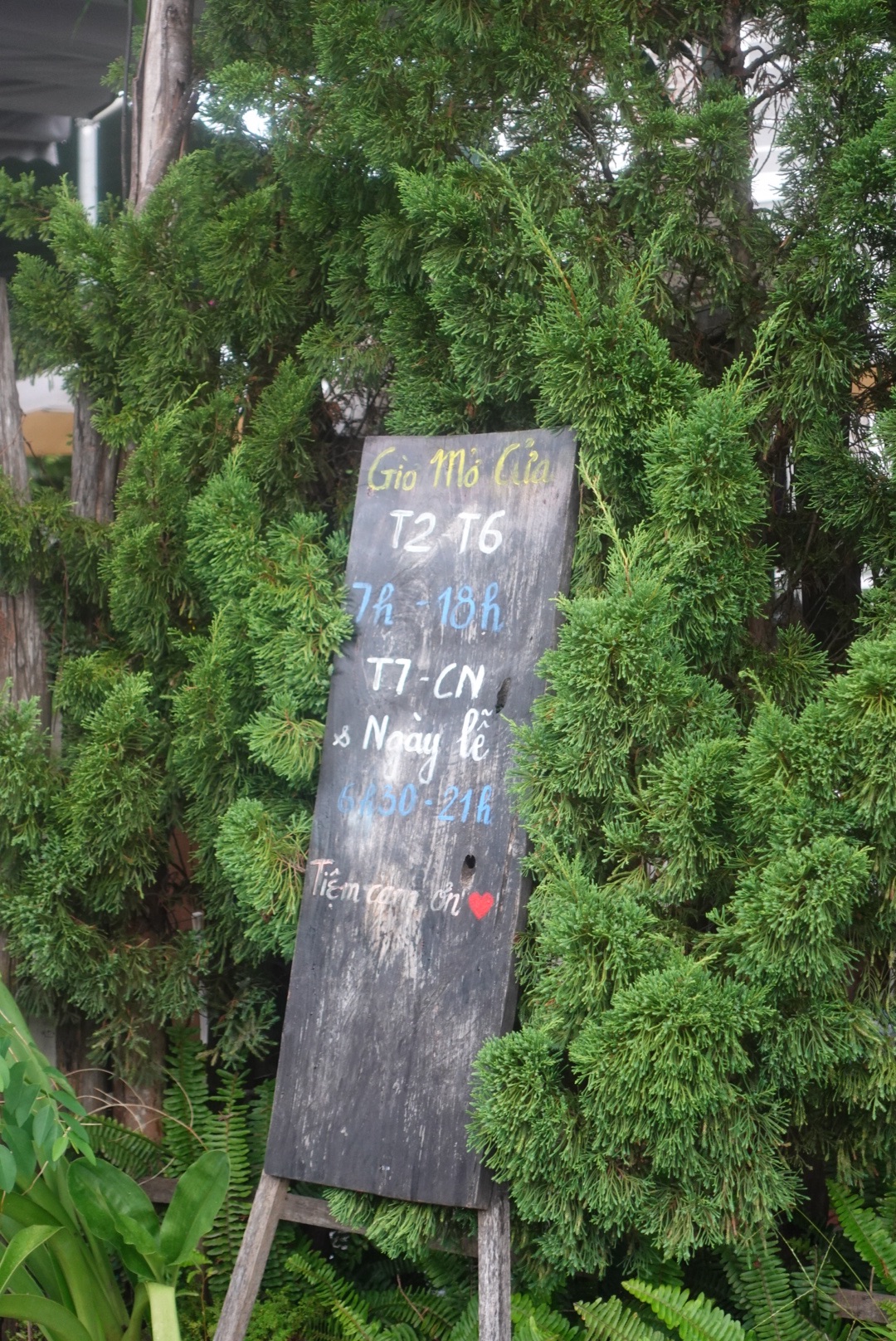 DSC07090.jpeg
