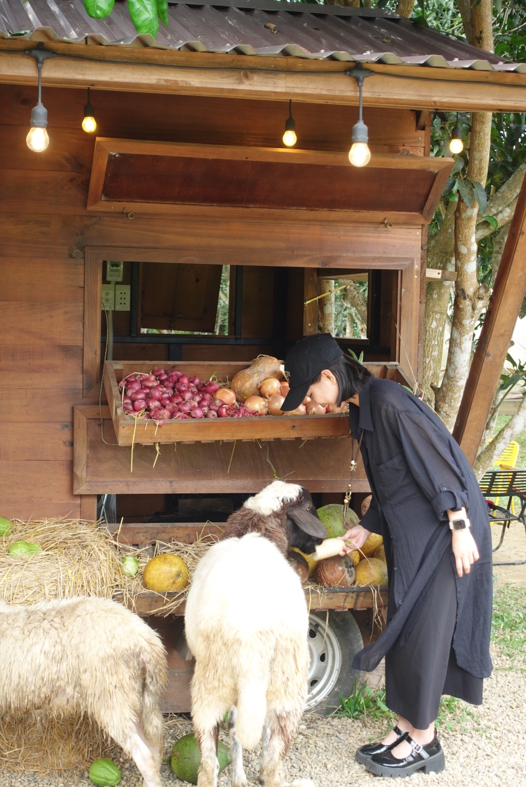 DSC08125.jpeg