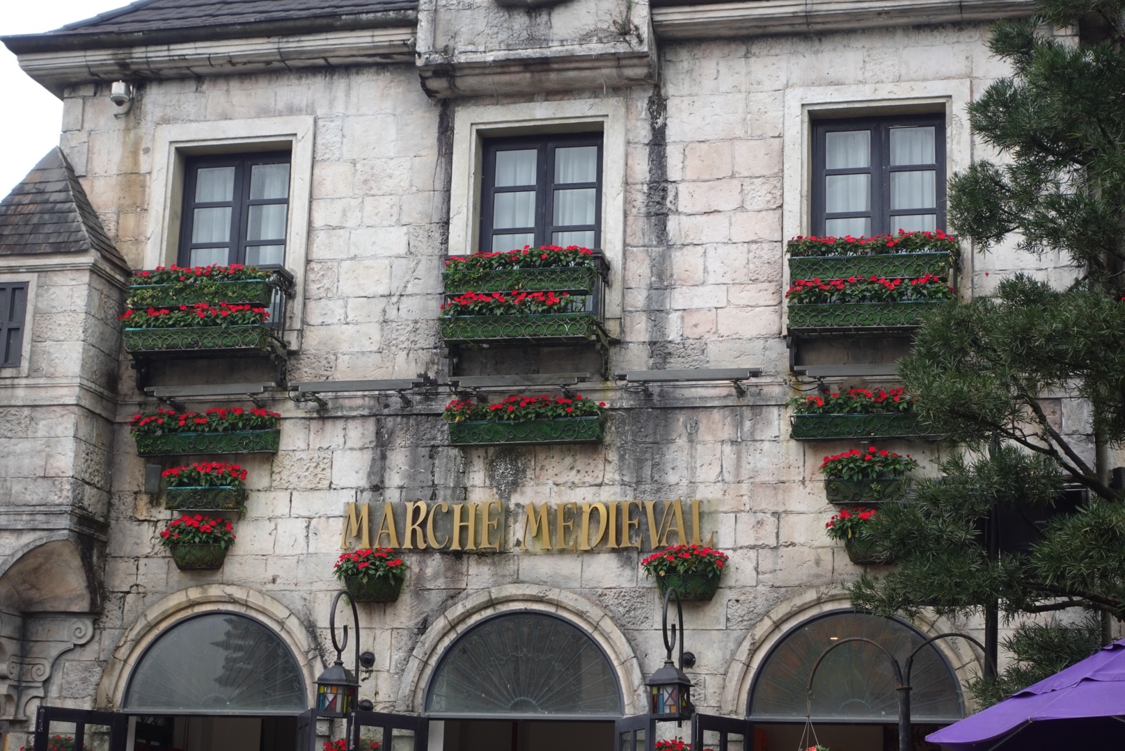 DSC08739.jpeg