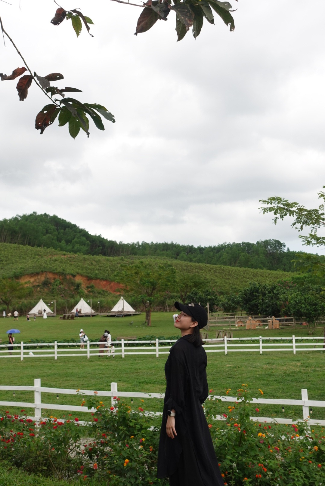 DSC08672.jpeg