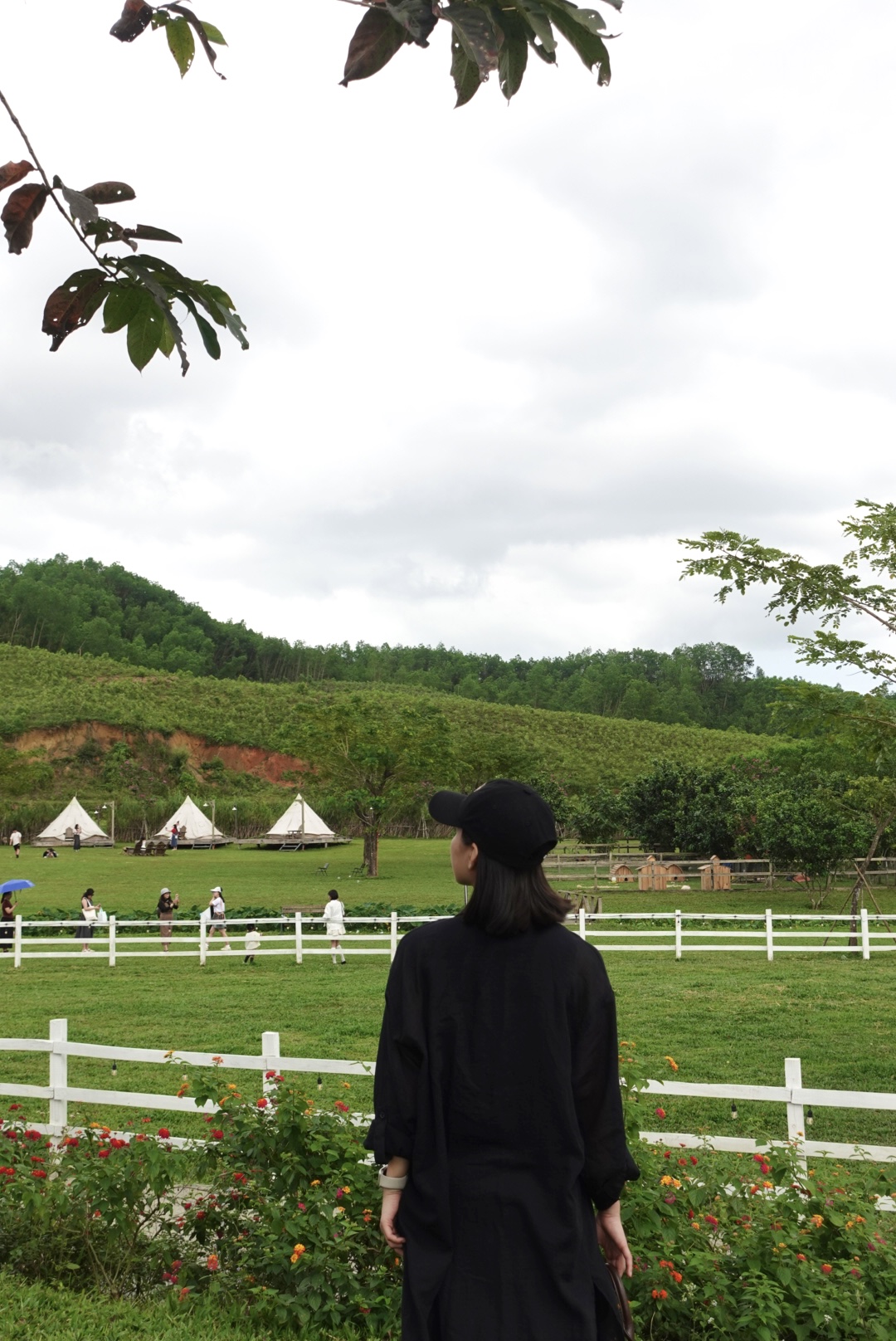DSC08626.jpeg