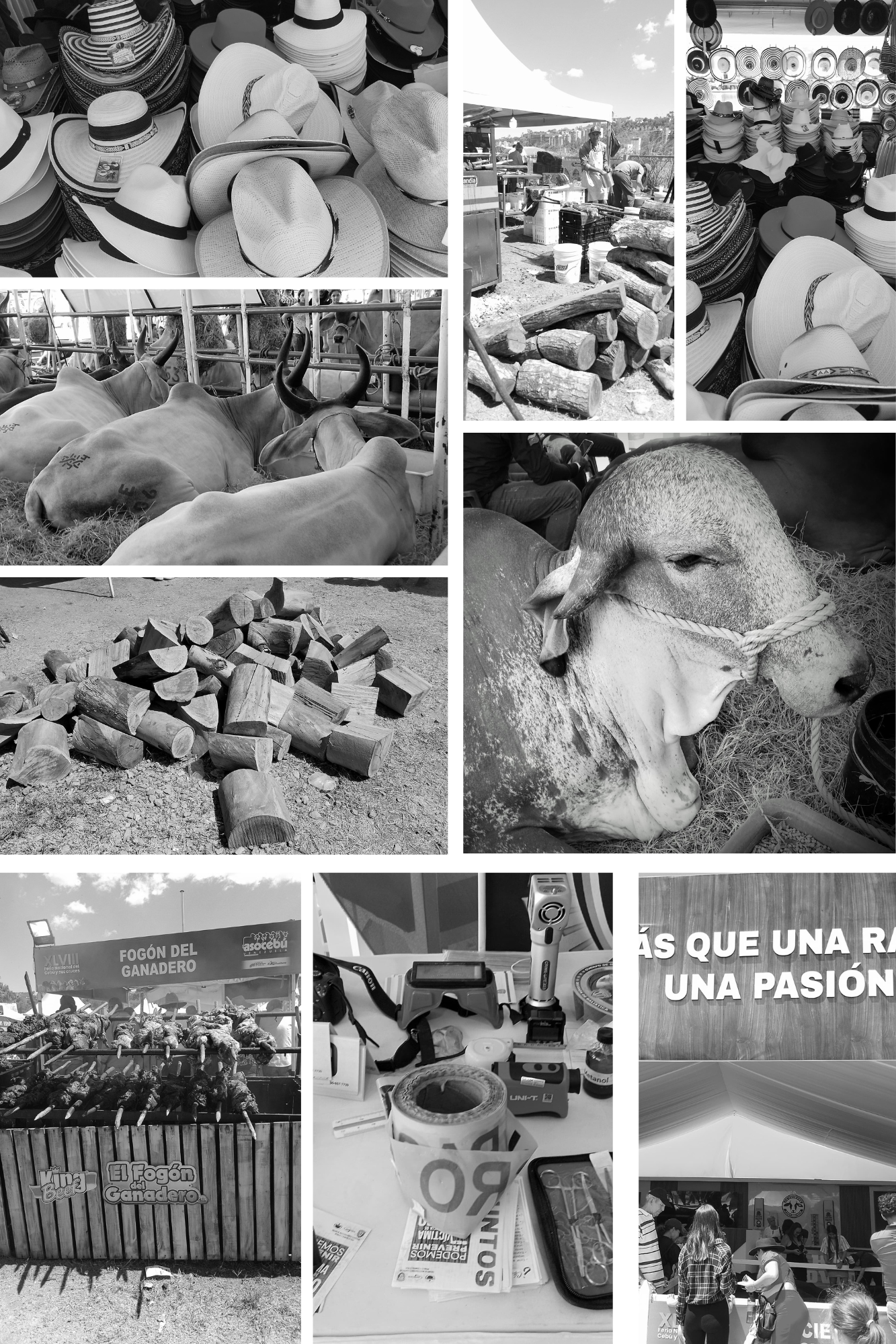 Collage de Fotos Oficina Minimalista Ordenado Neutro.png