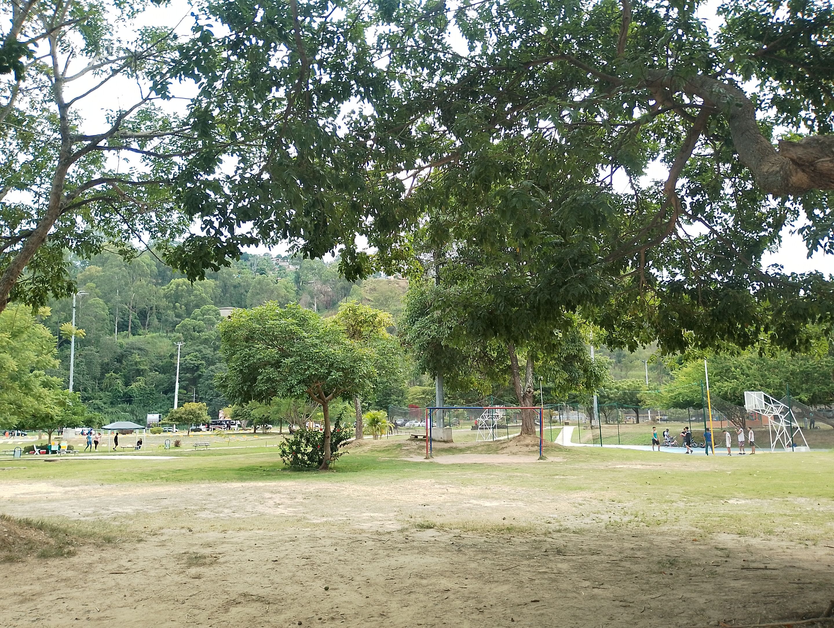 IMG_20250919_151036.jpg