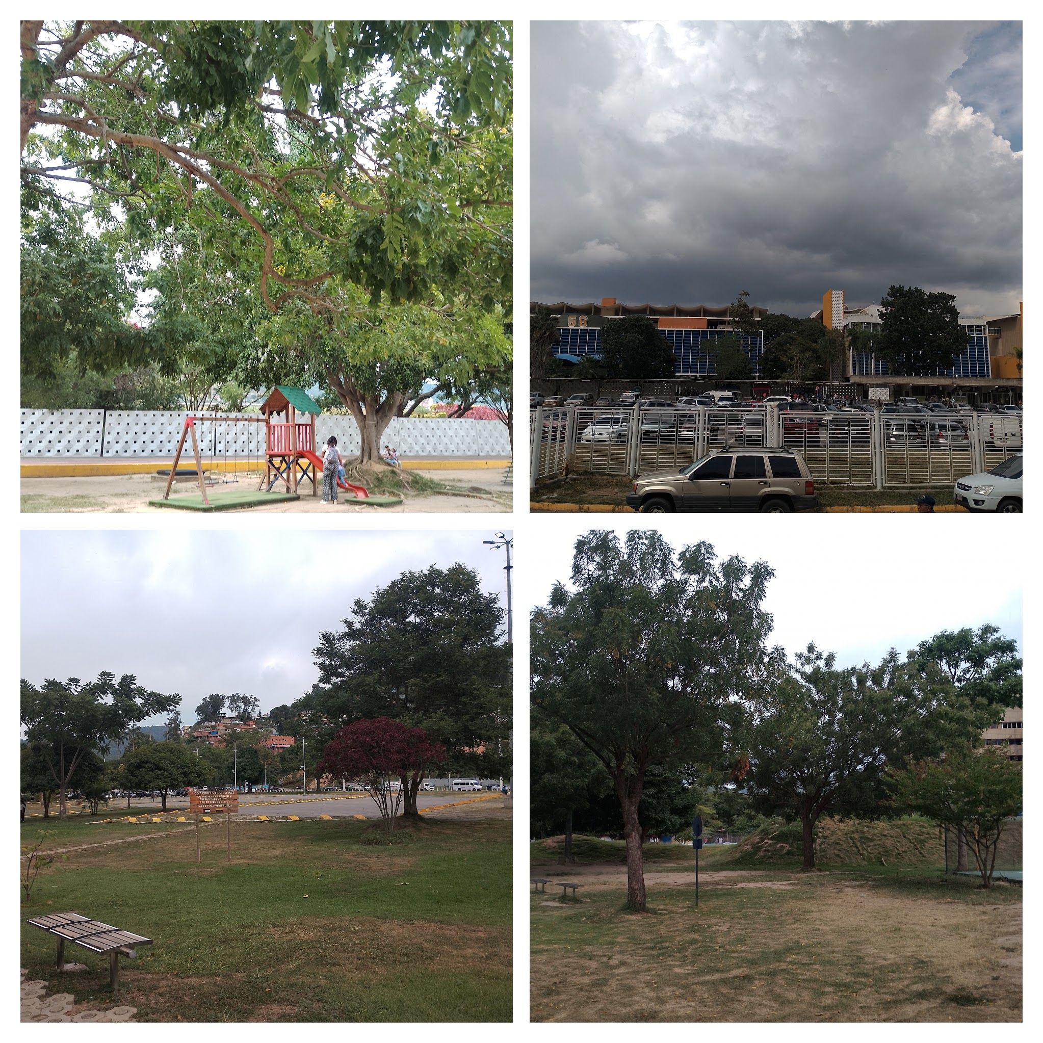 IMG_20250919_145346_MP-COLLAGE.jpg