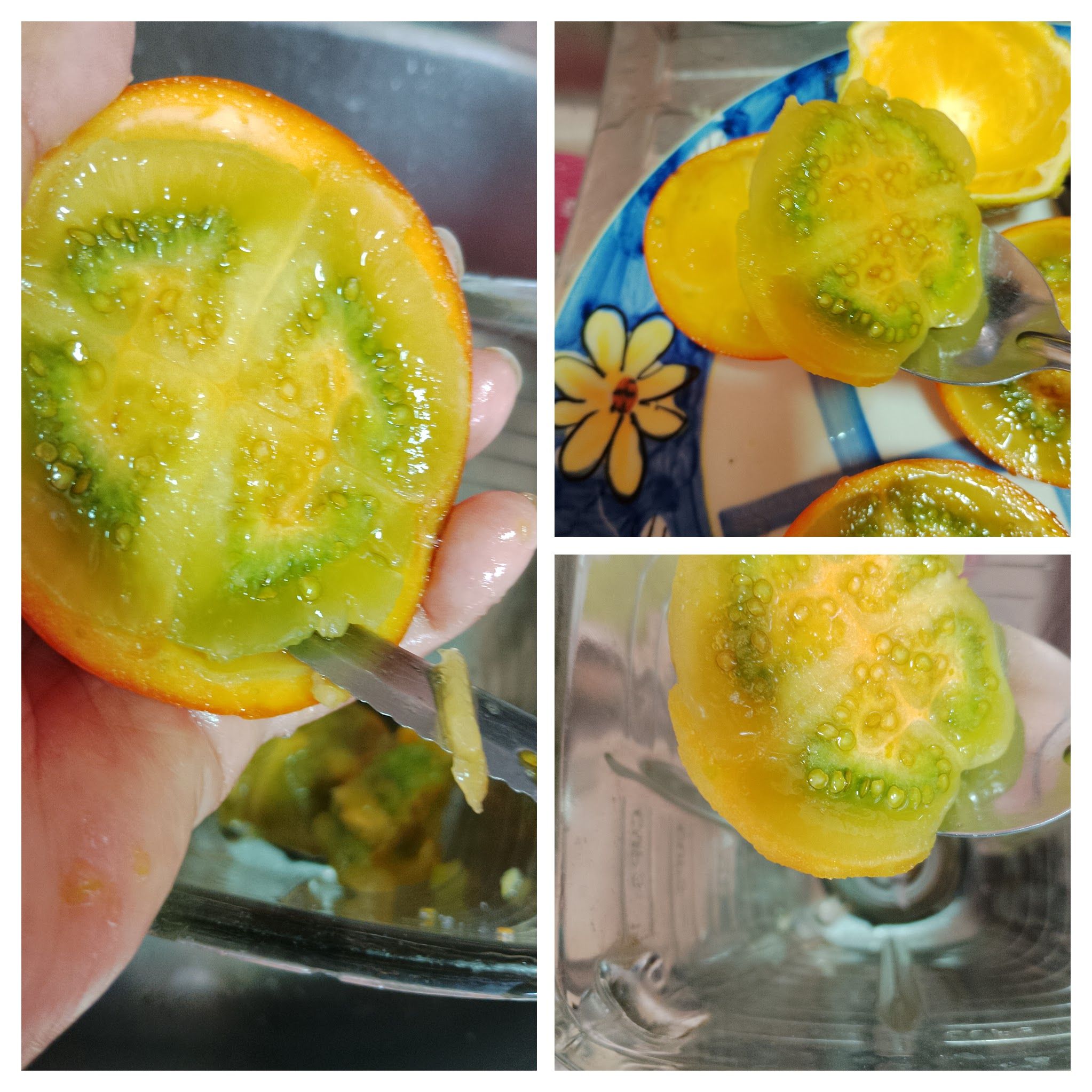 IMG_20250813_130505-COLLAGE.jpg