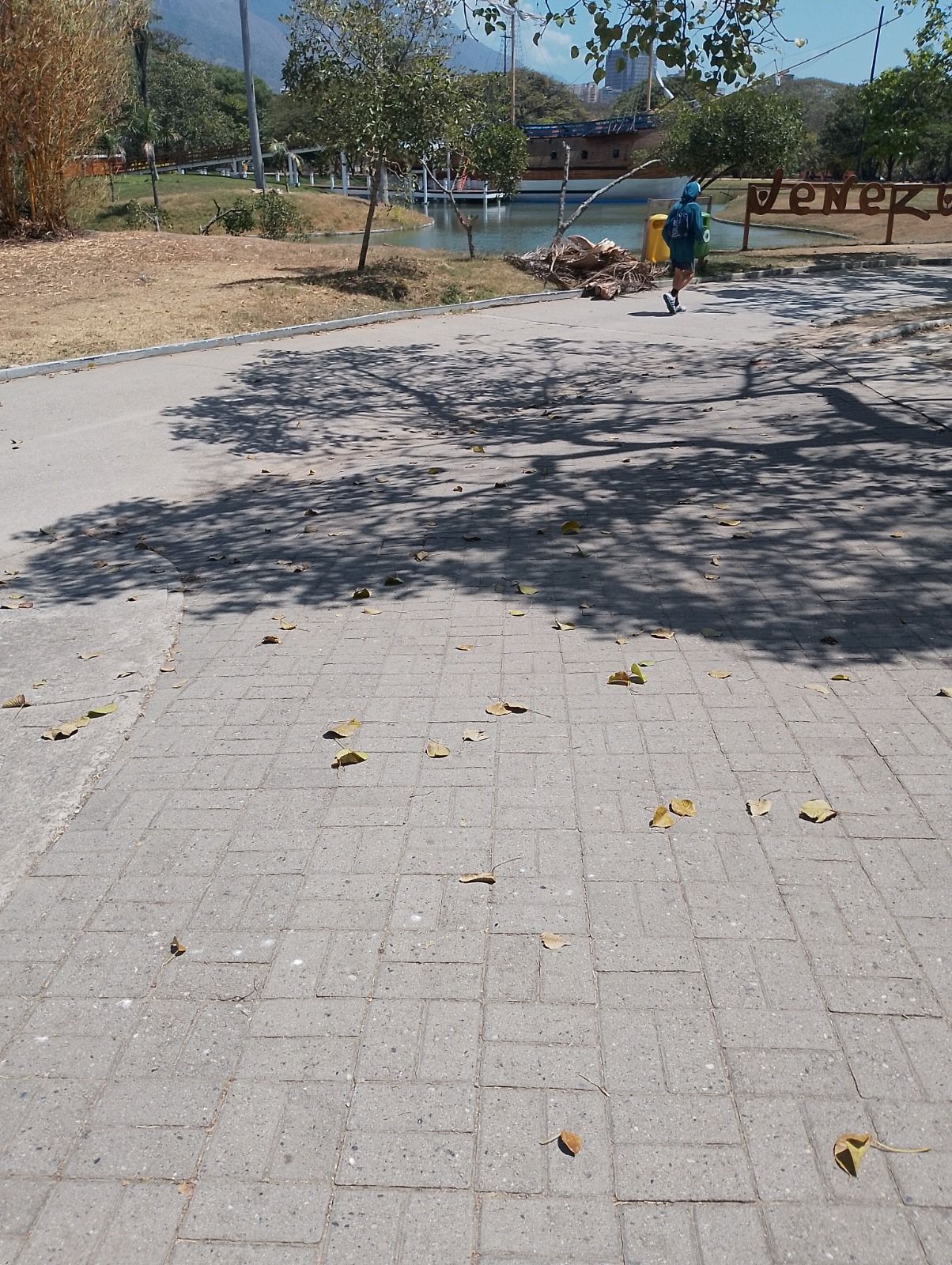 Picture of post : Entry to the Round 365 Shadow Hunters Contest - In the Shadow of a Tree / A la Sombra De Un Árbol