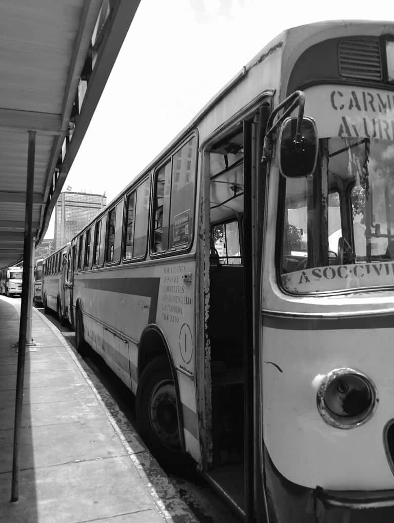 WhatsApp Image 2025-10-04 at 11.45.46 PM (4).jpeg