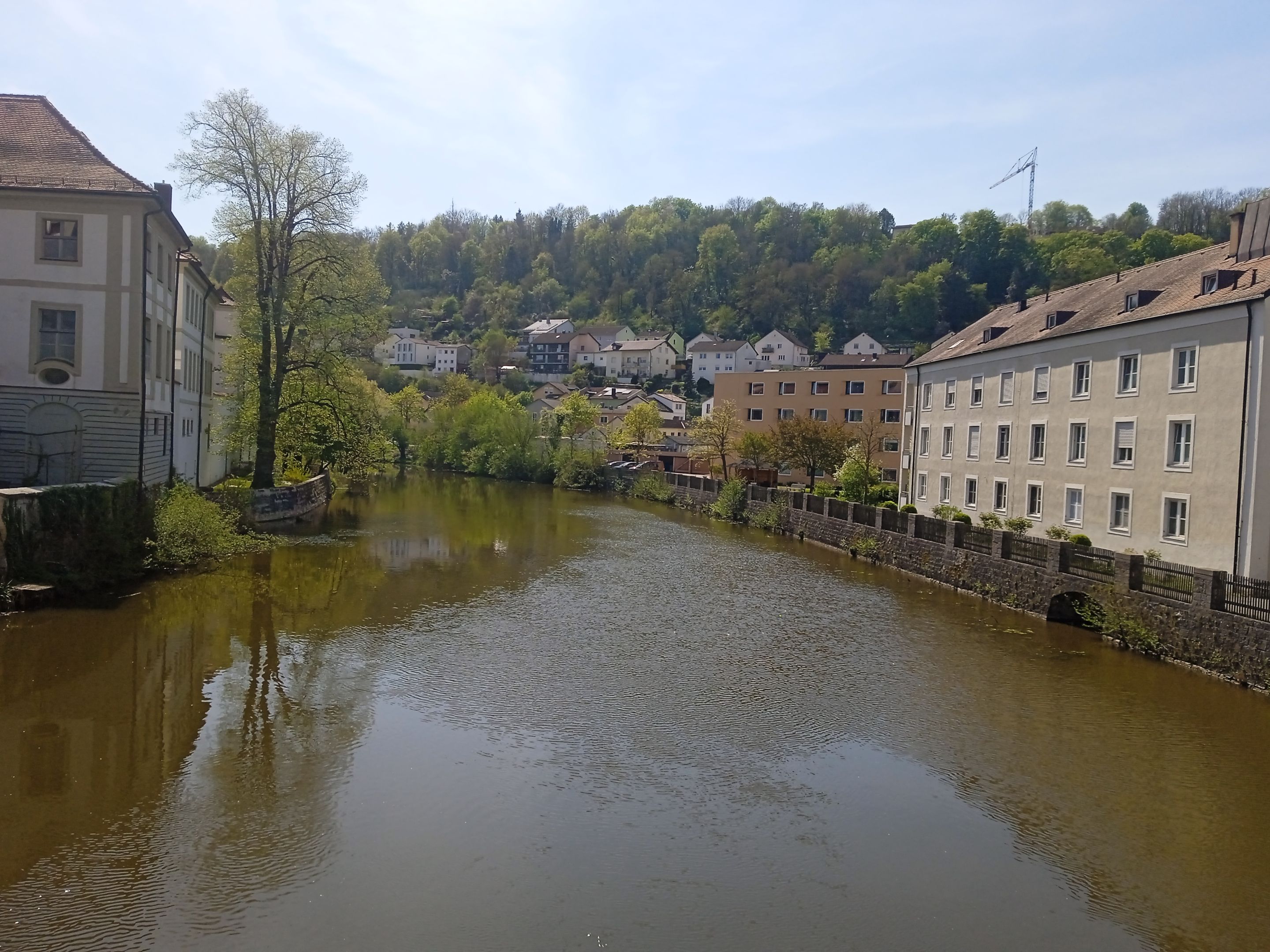 IMG_20240412_131900.jpg