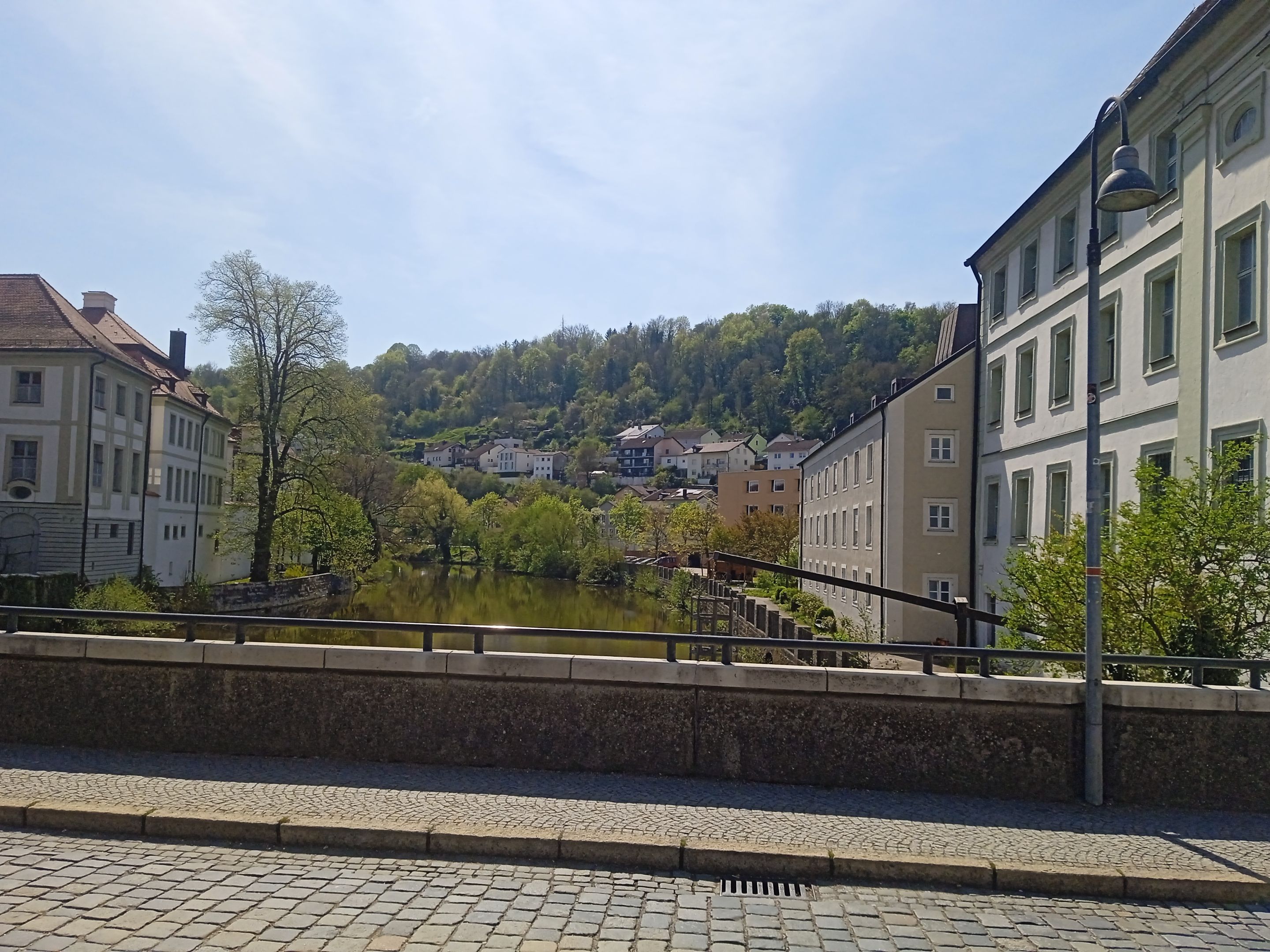 IMG_20240412_131641.jpg