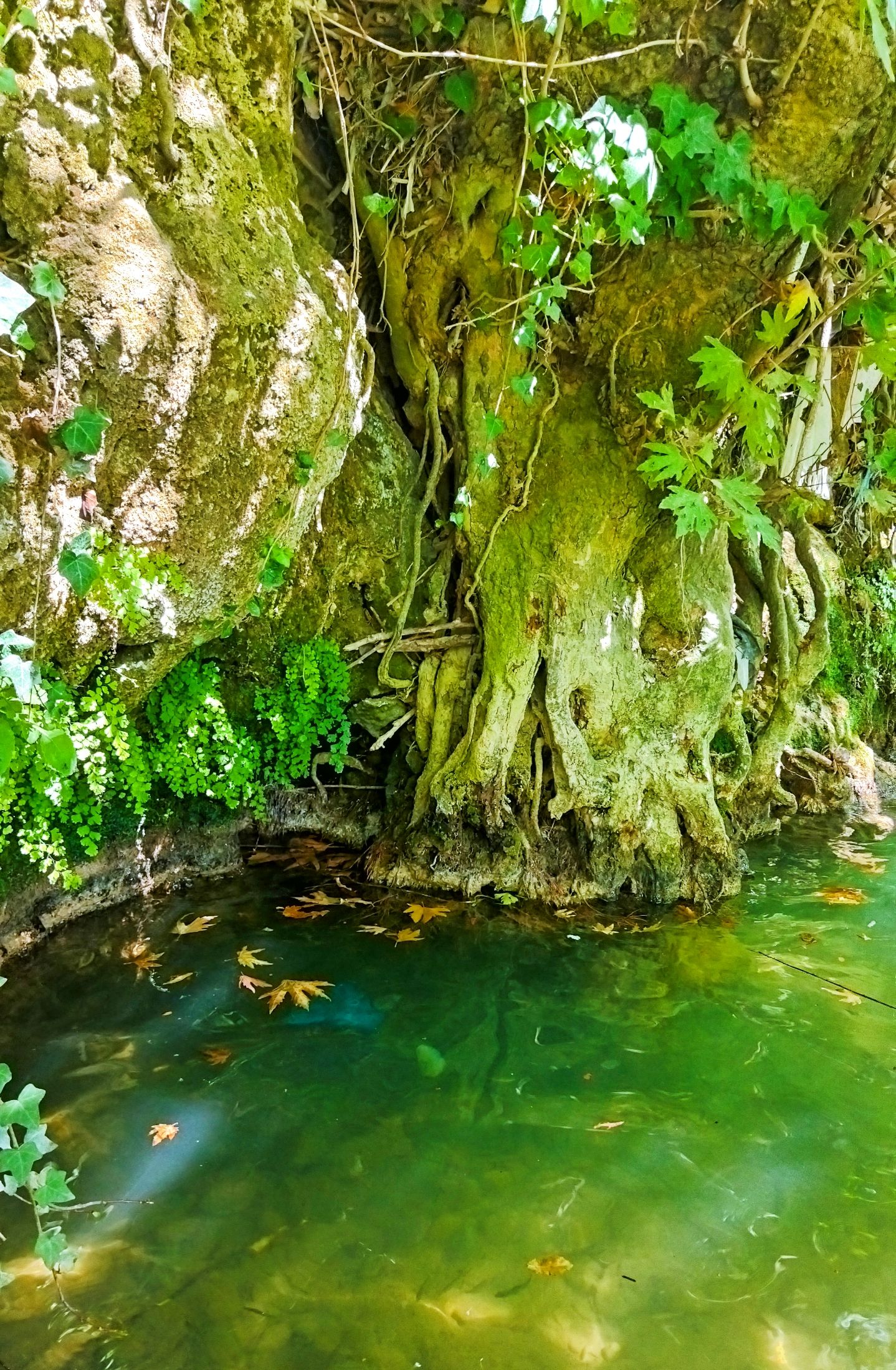 B612_20220829_171346_180.jpg