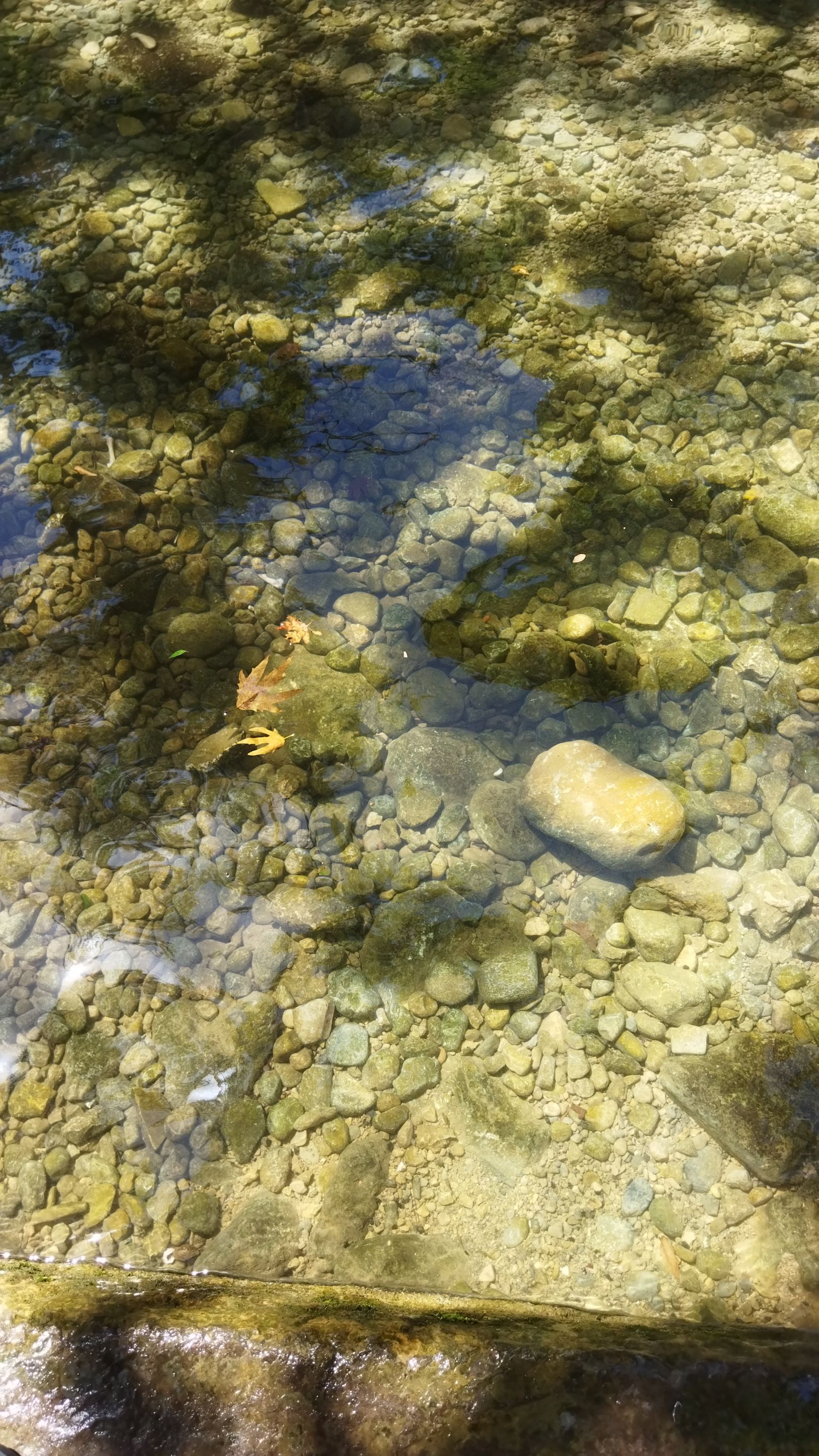 IMG_20220826_120104.jpg