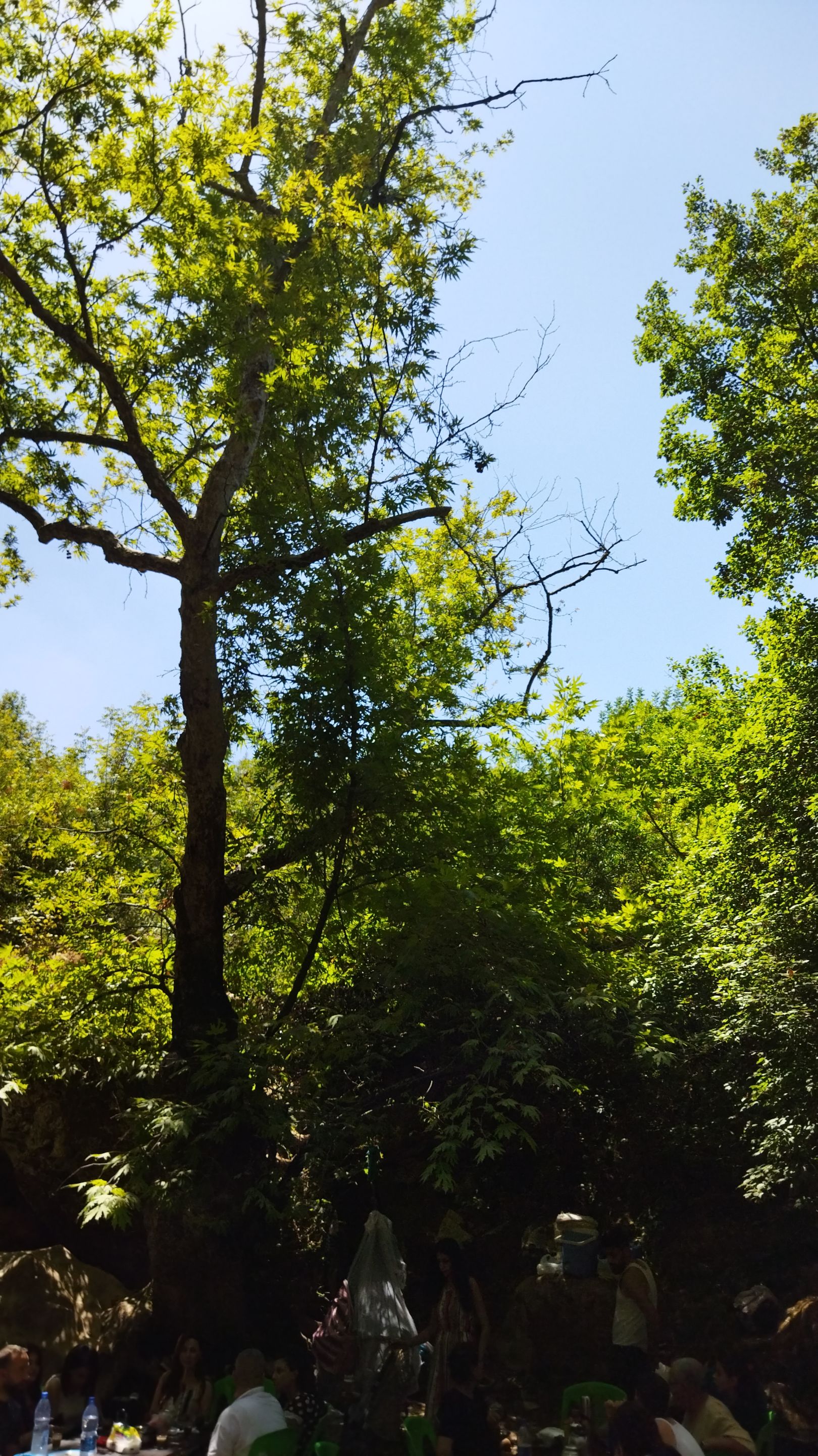 IMG_20220826_120119.jpg