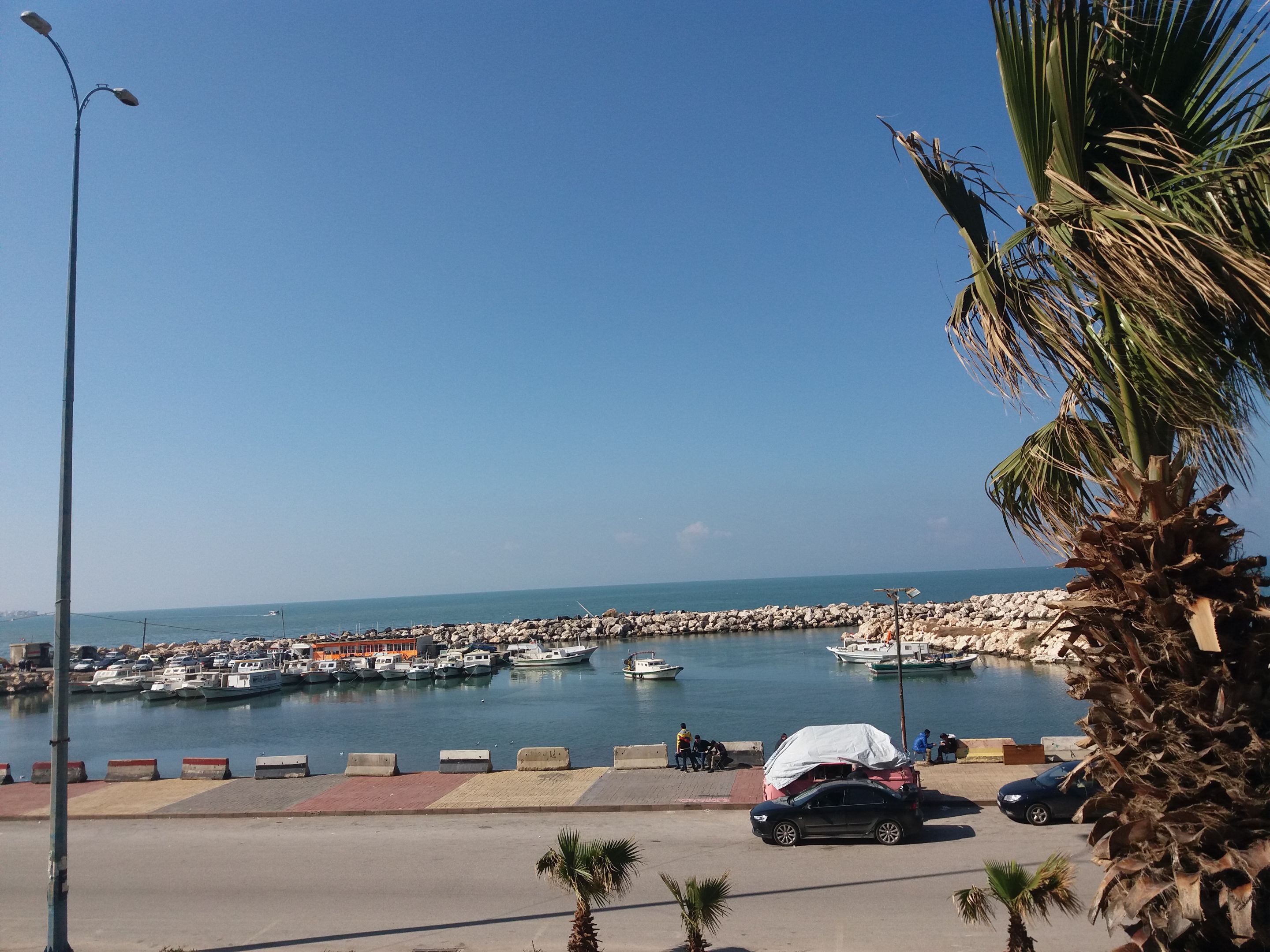 20190306_094003.jpg