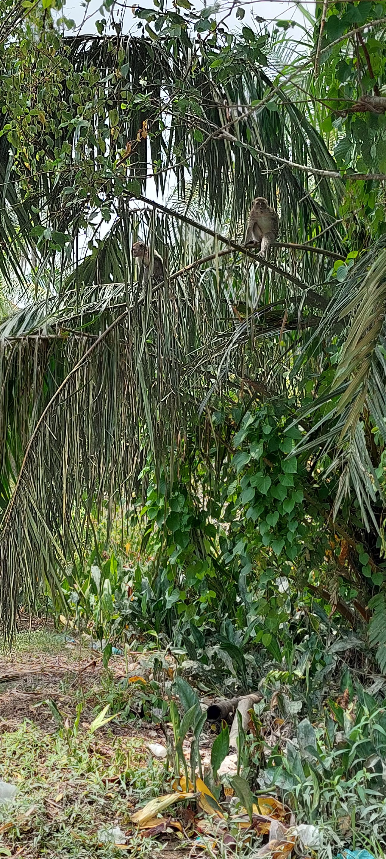 20210814_112800.jpg