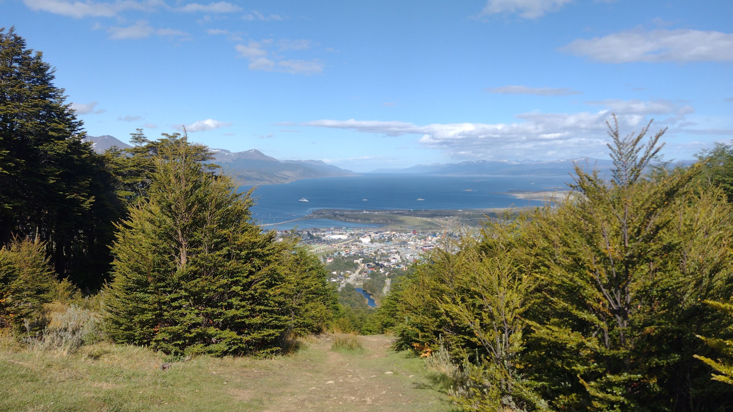 IMG_20231210_172800031.jpg