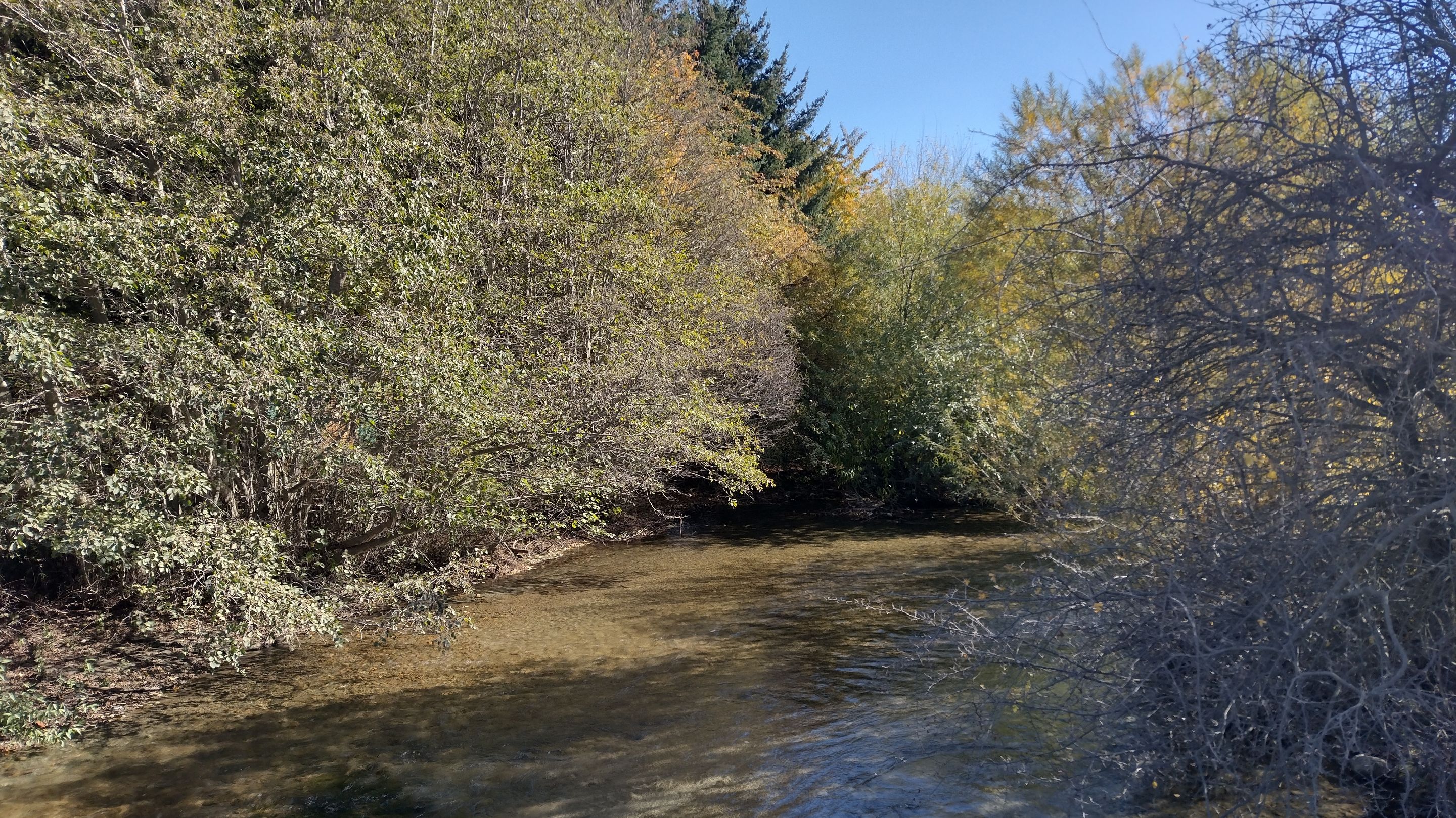 IMG_20230422_122816914_HDR.jpg