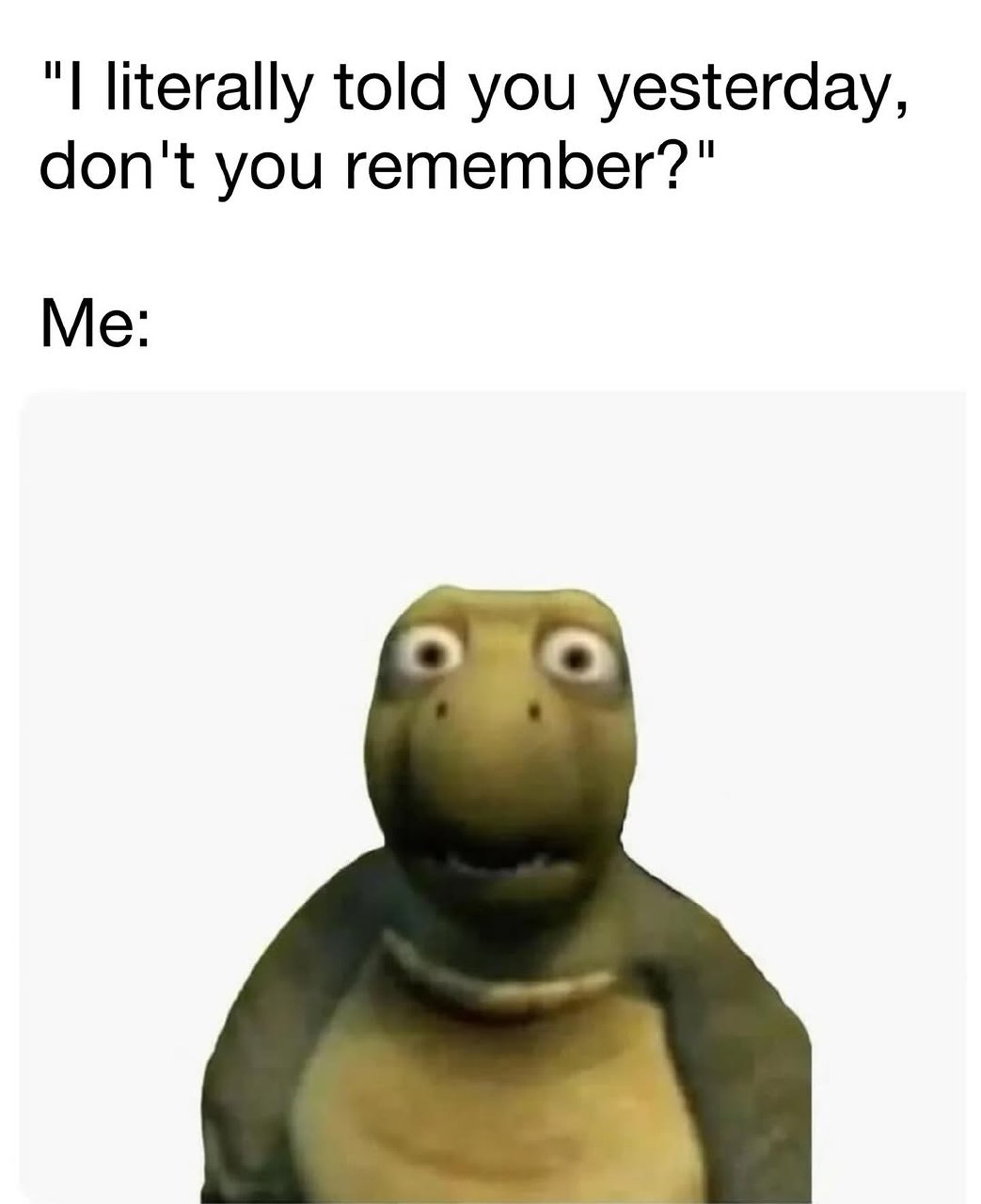 1000162338.jpg