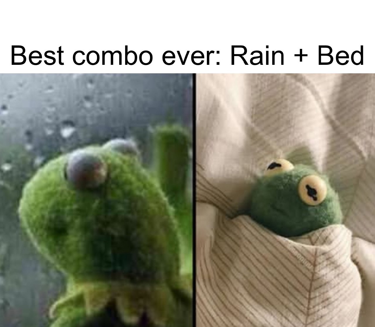 1000162339.jpg