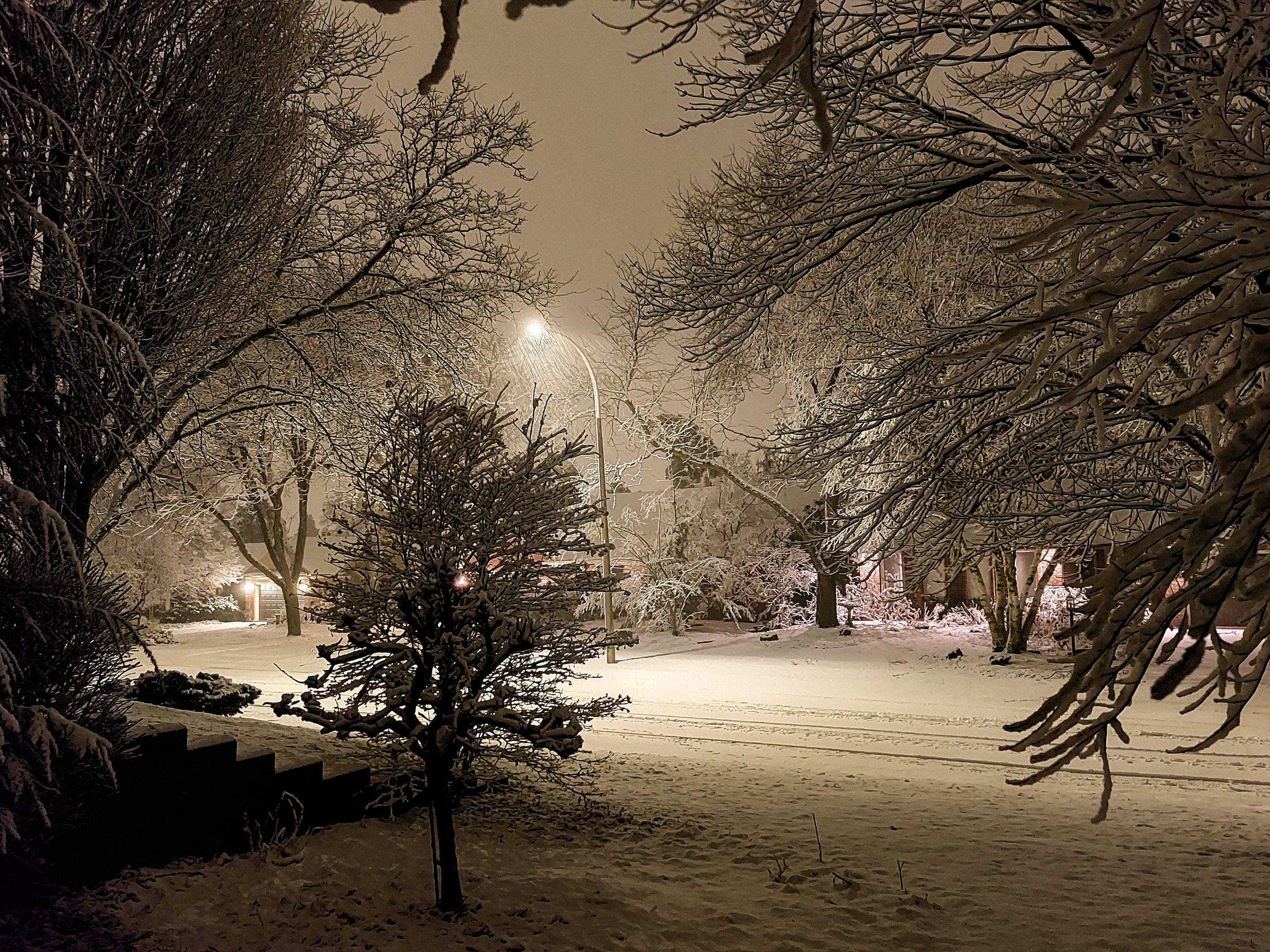 20240112_200155~2.jpg