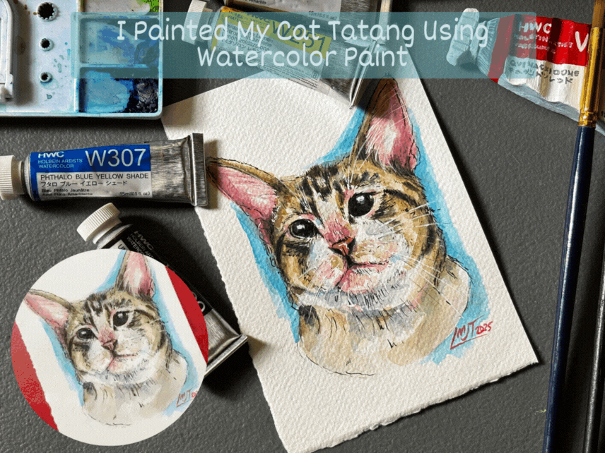 I Painted My Cat NikNik Using Watercolor Paint (1).gif