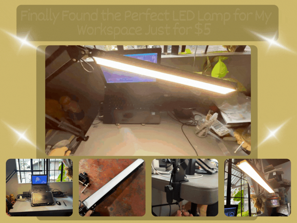 Copy of Copy of Your paragraph text (1).gif