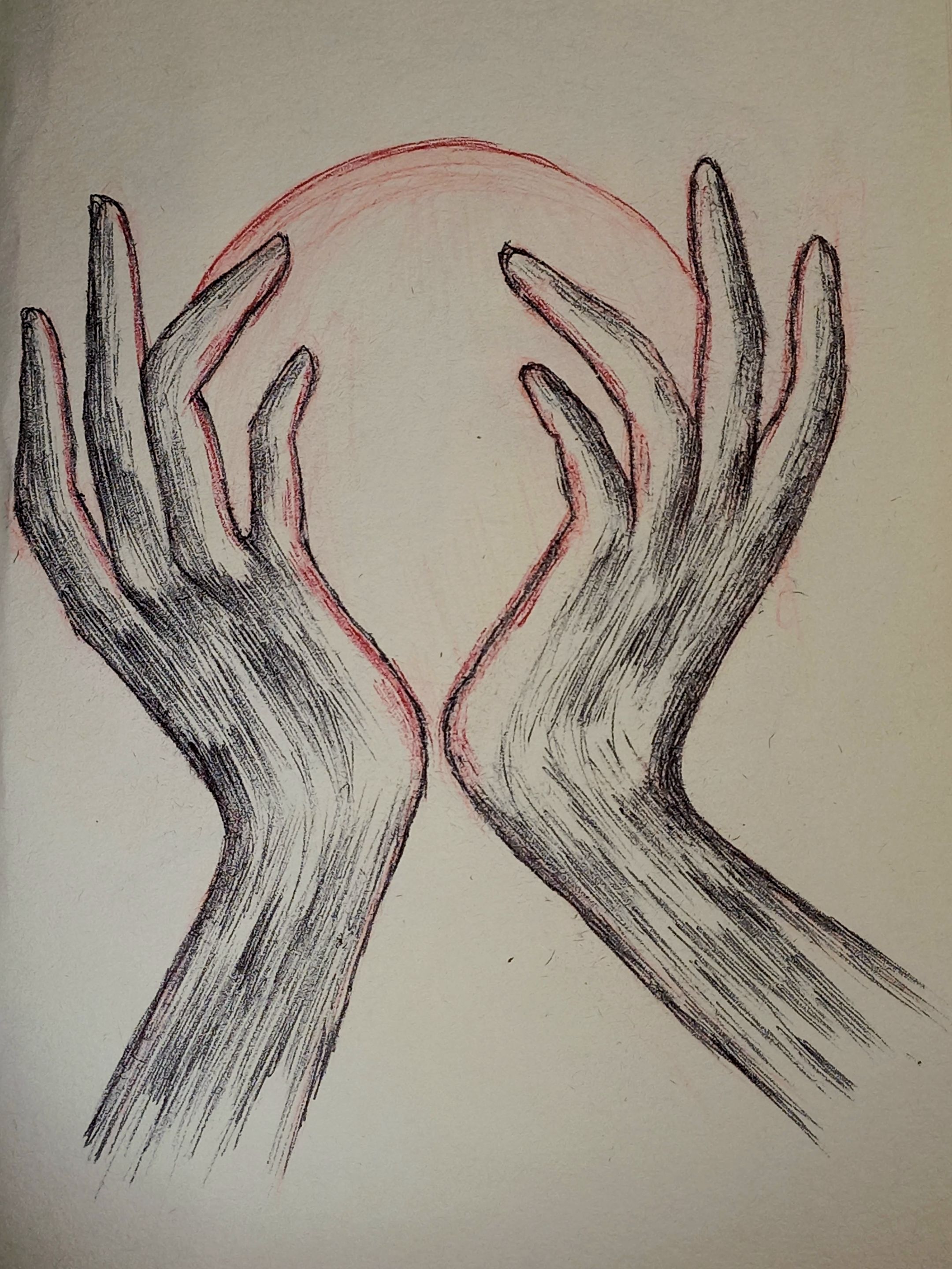 20250417_135503.jpg
