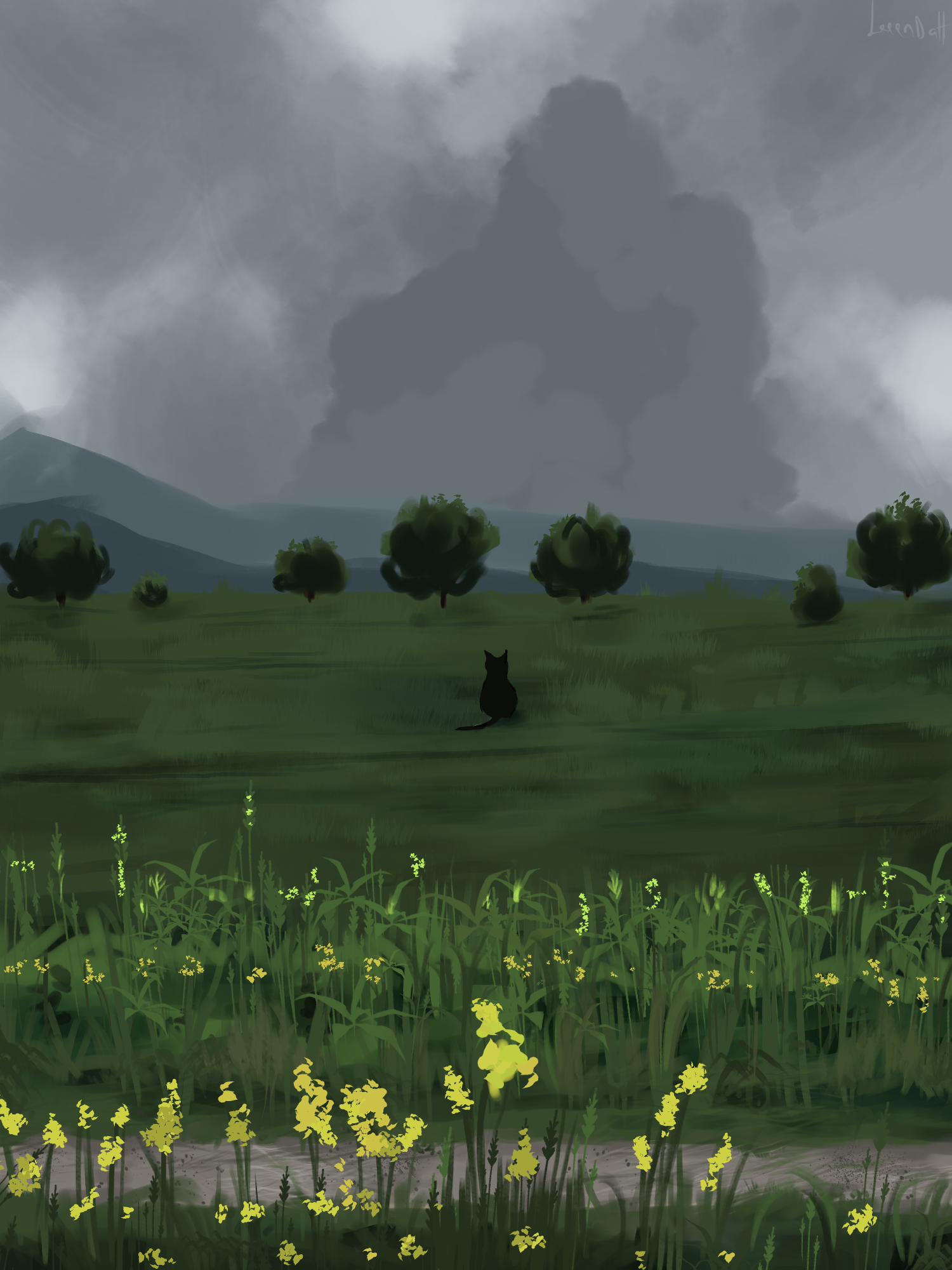 catfield.png