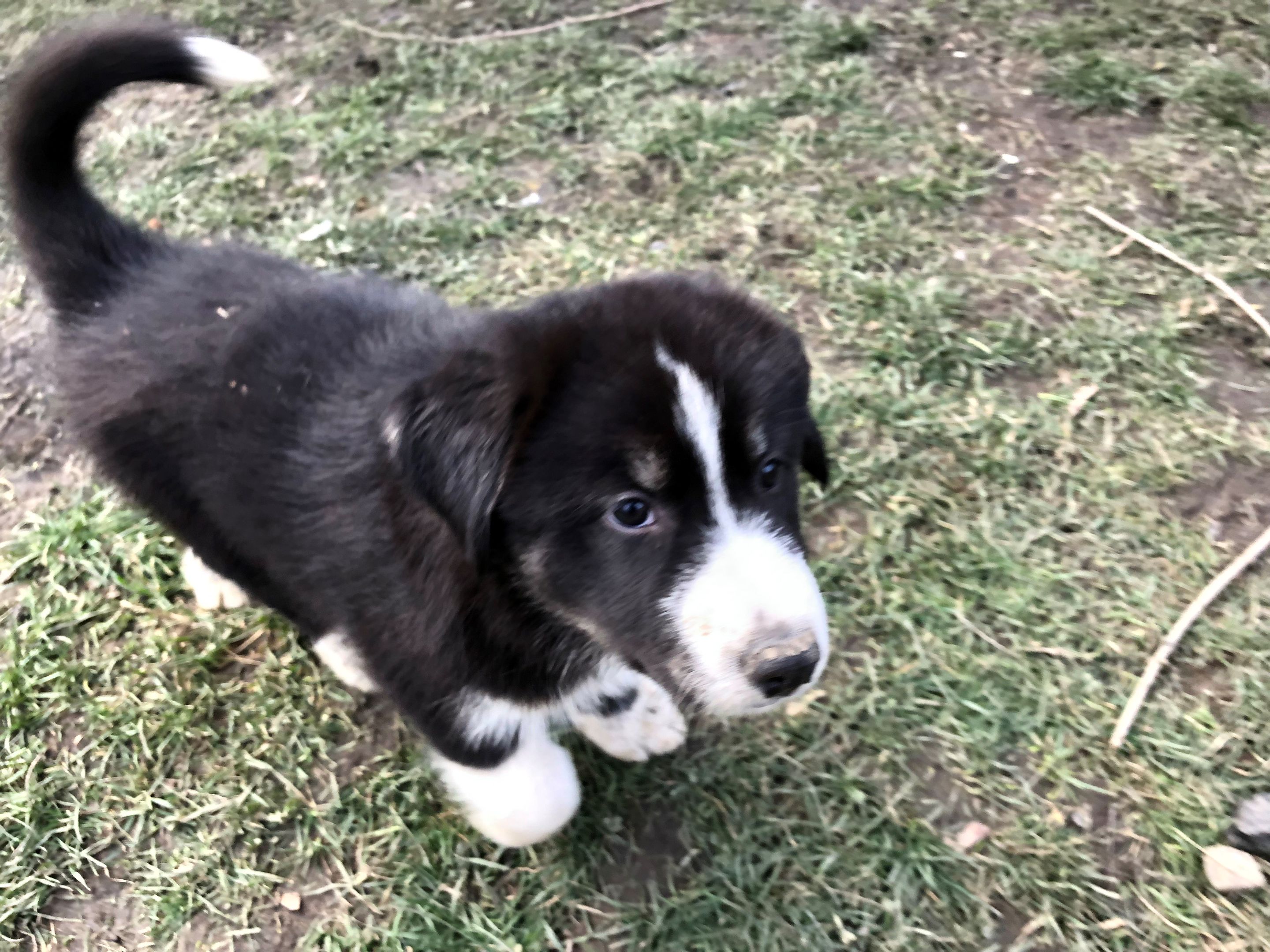 Tank baby picture.jpg