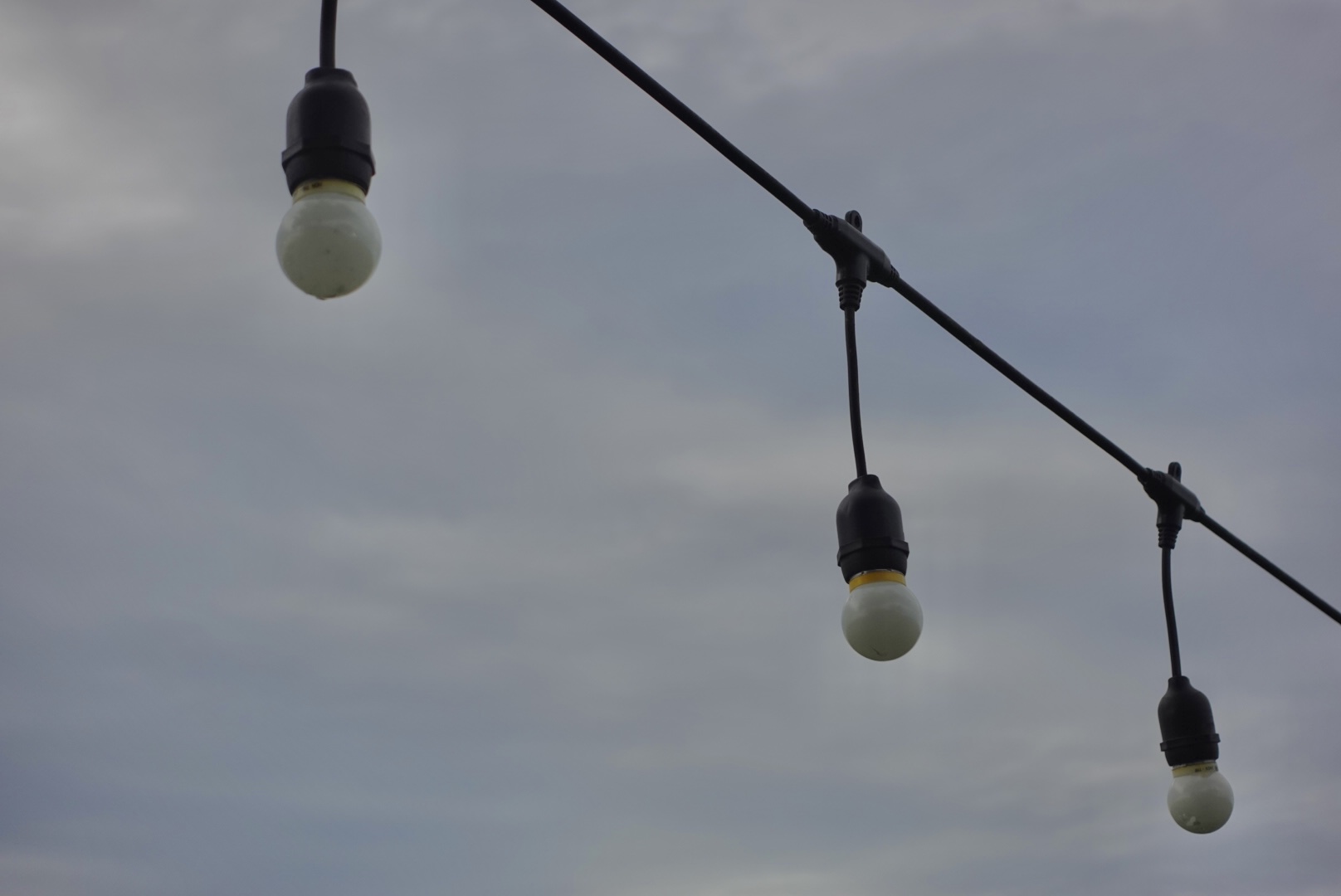DSC01078.jpeg
