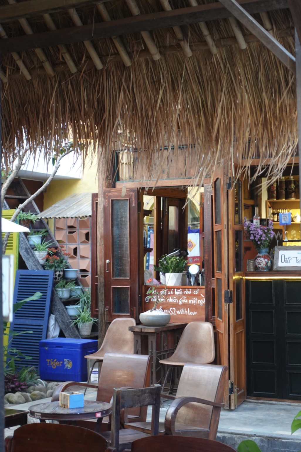 DSC00216.jpeg