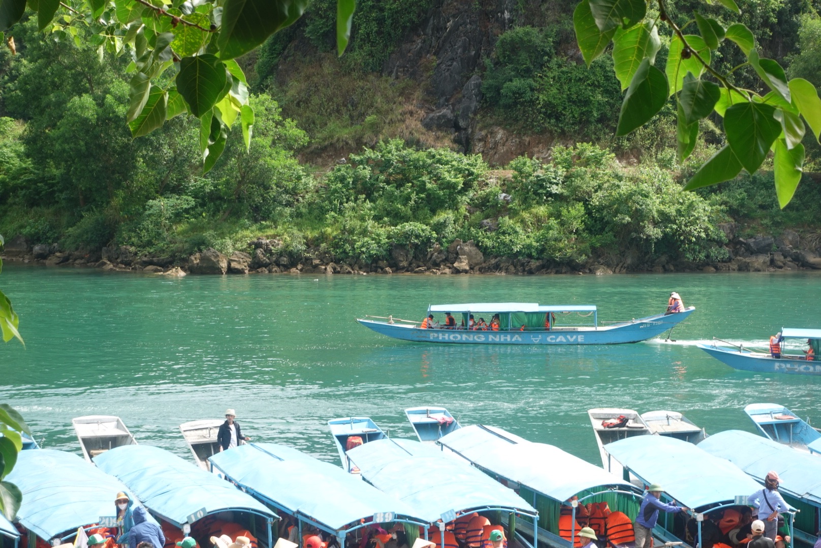 DSC06054.jpeg