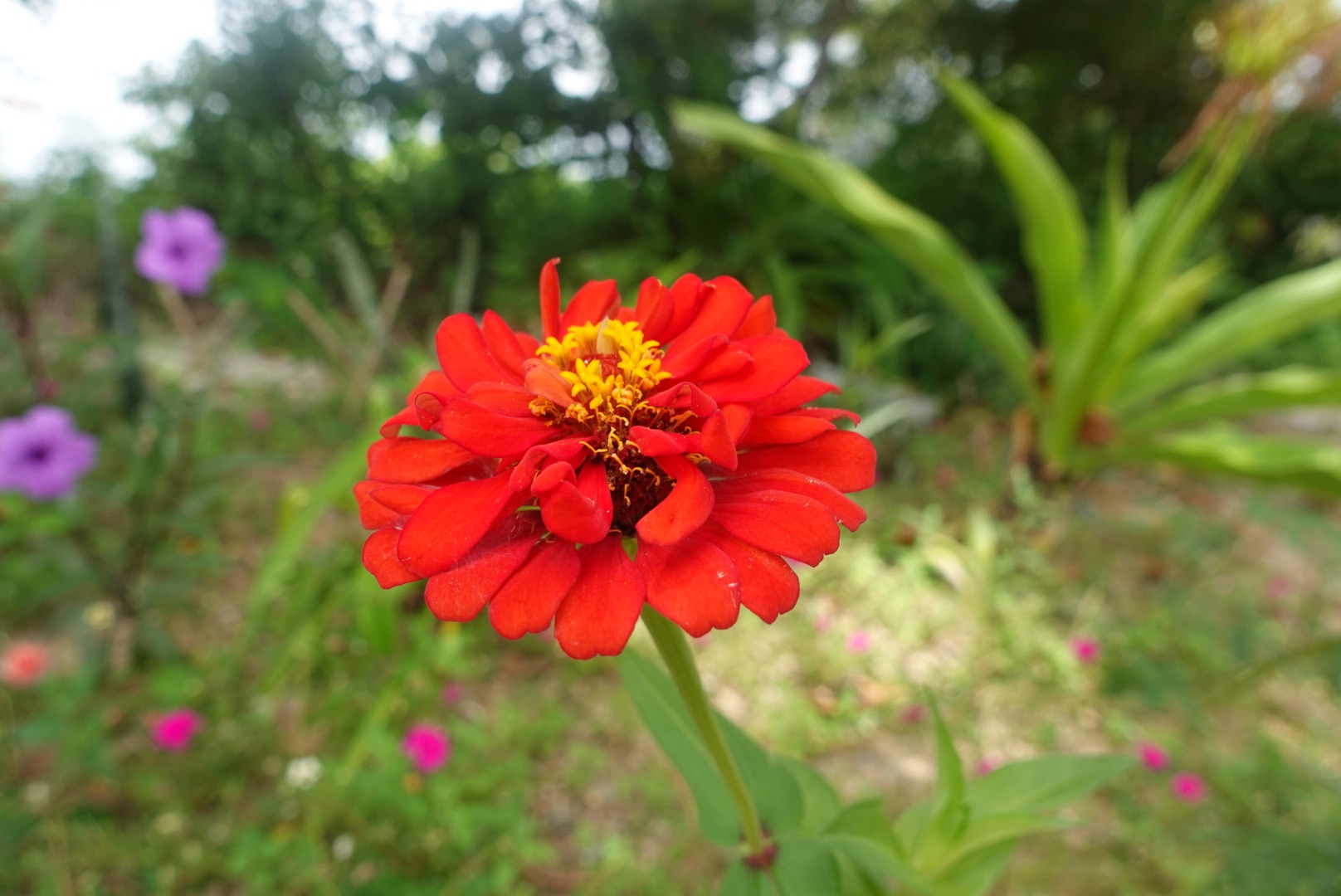 DSC07467.jpeg