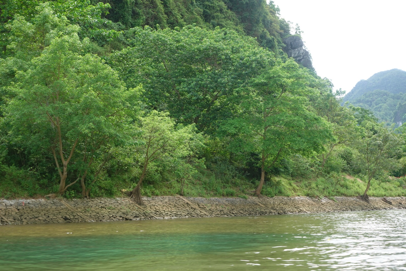 DSC06120.jpeg