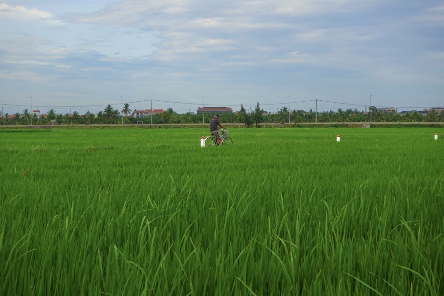 DSC01076.jpeg