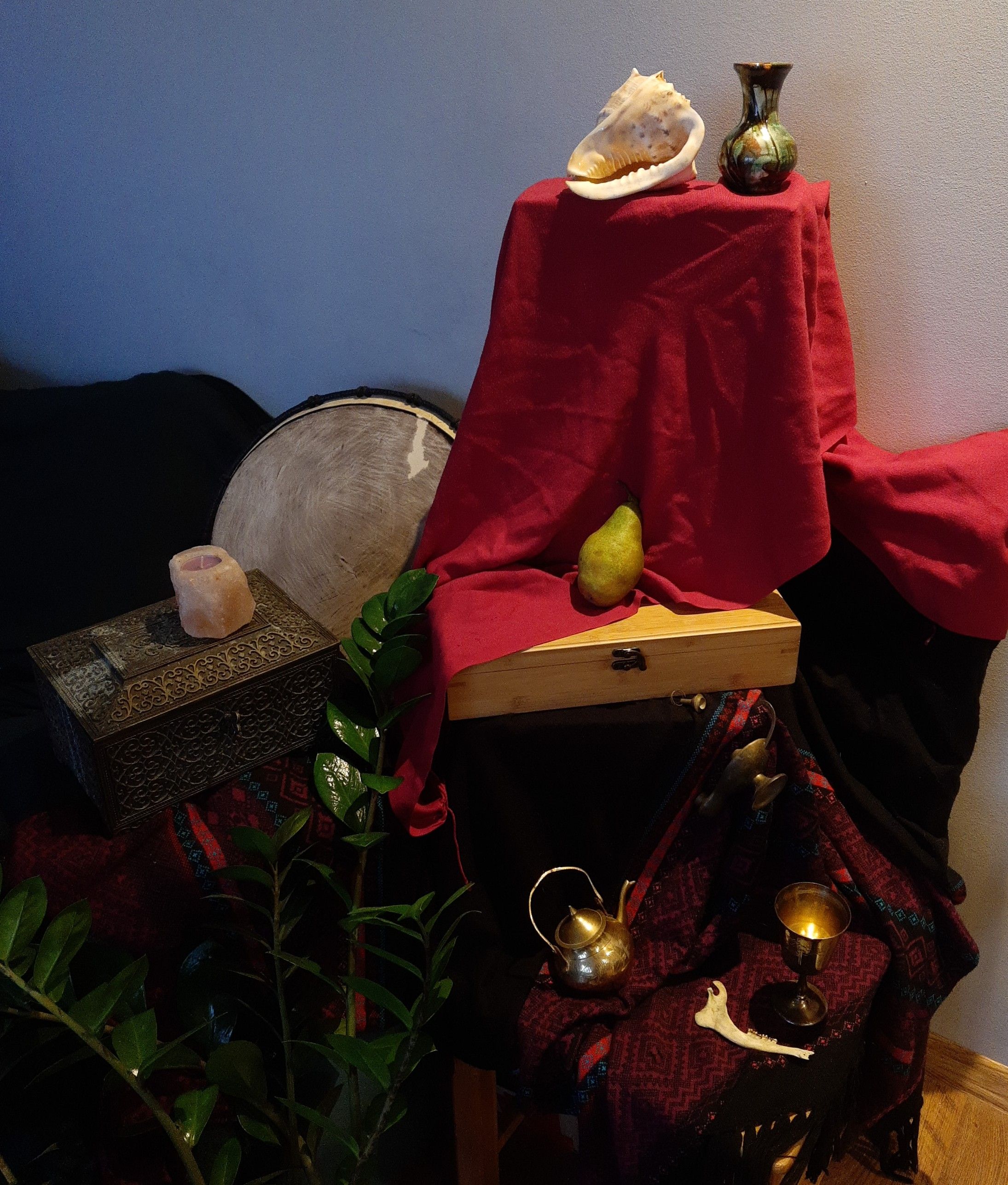 IMG_20221124_144117.jpg
