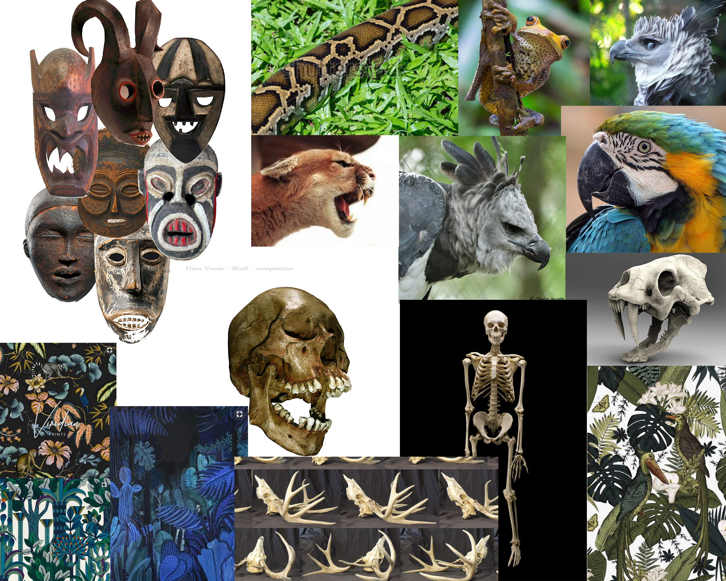 inspirations.jpg