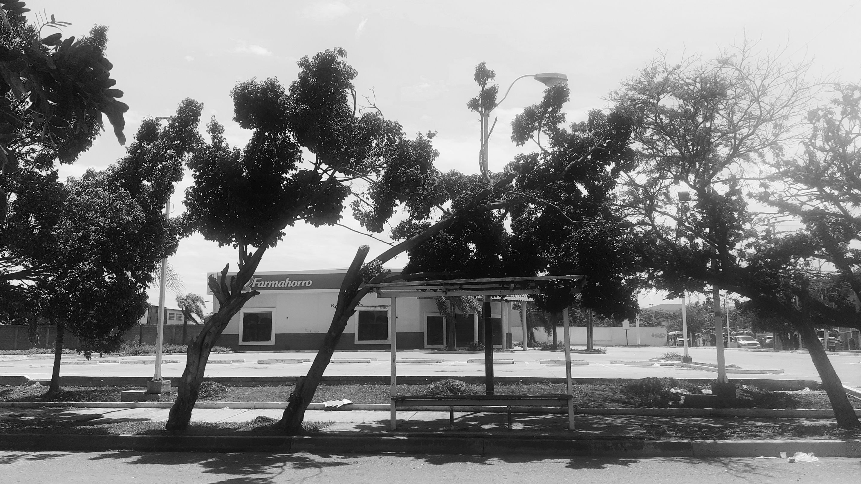 20220930_155437.jpg