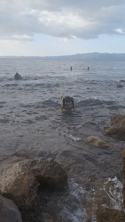 1001046481.gif