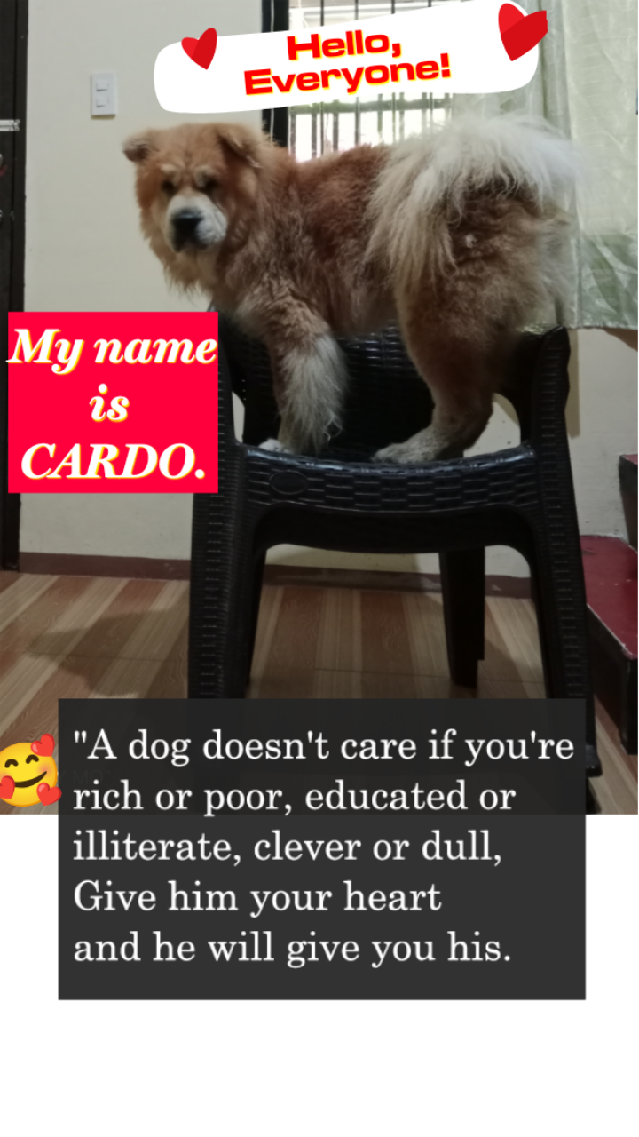cardo.png