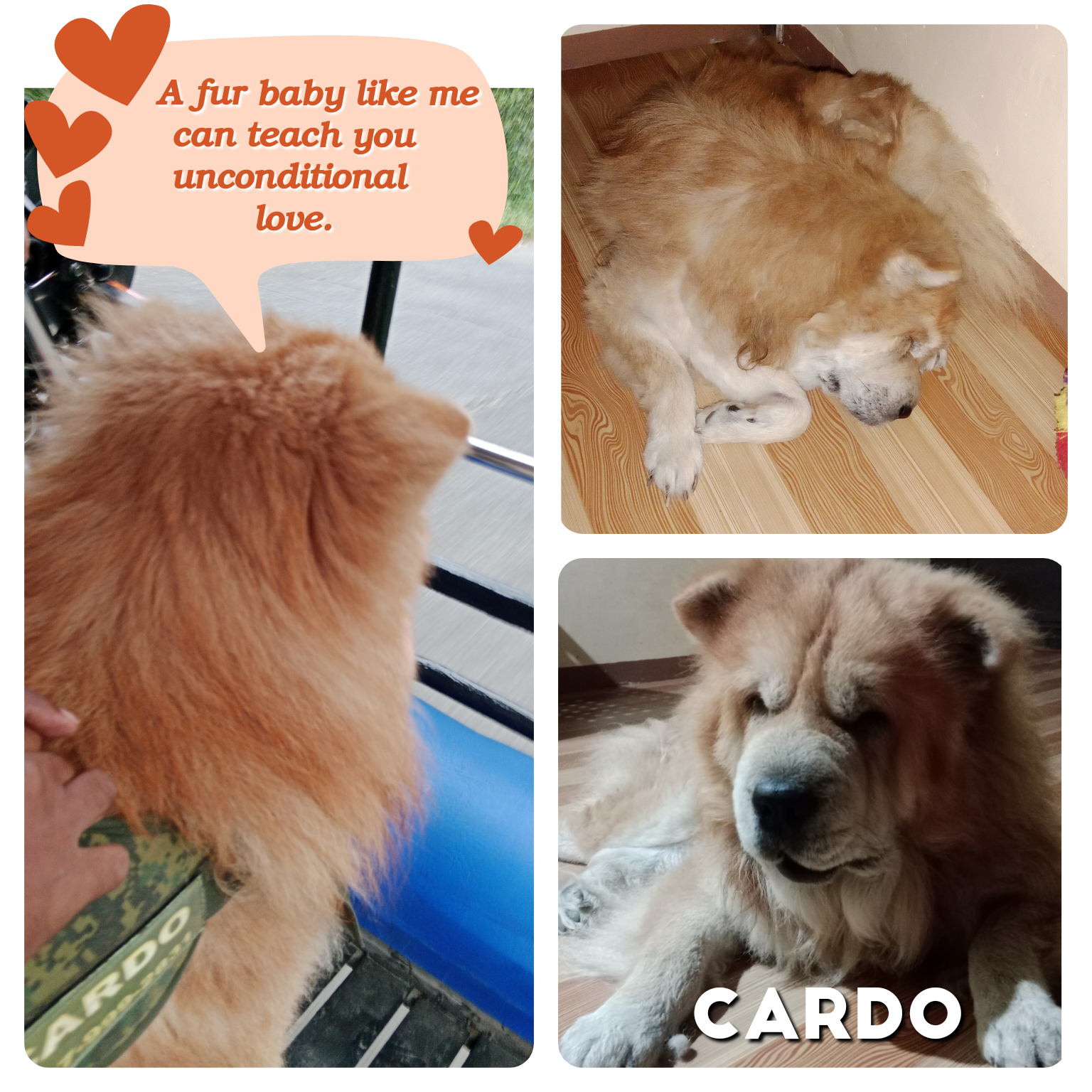 unconditional love.png