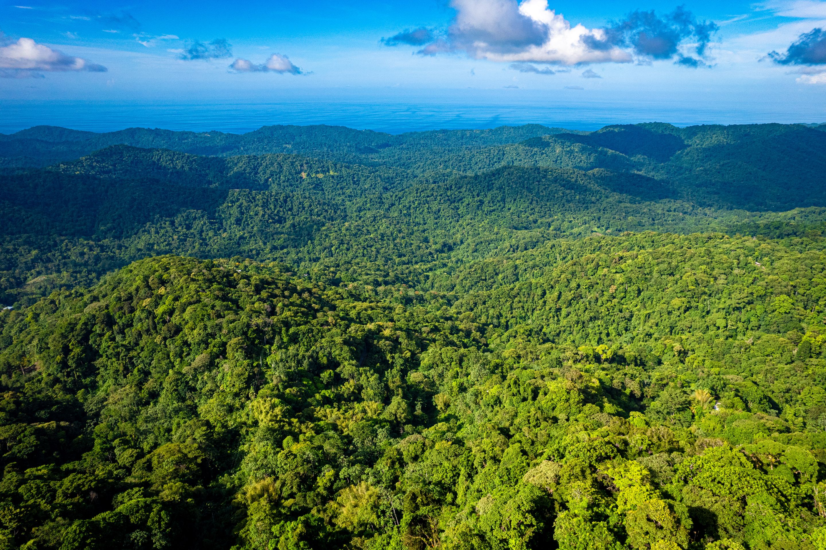 DJI_0635.jpg