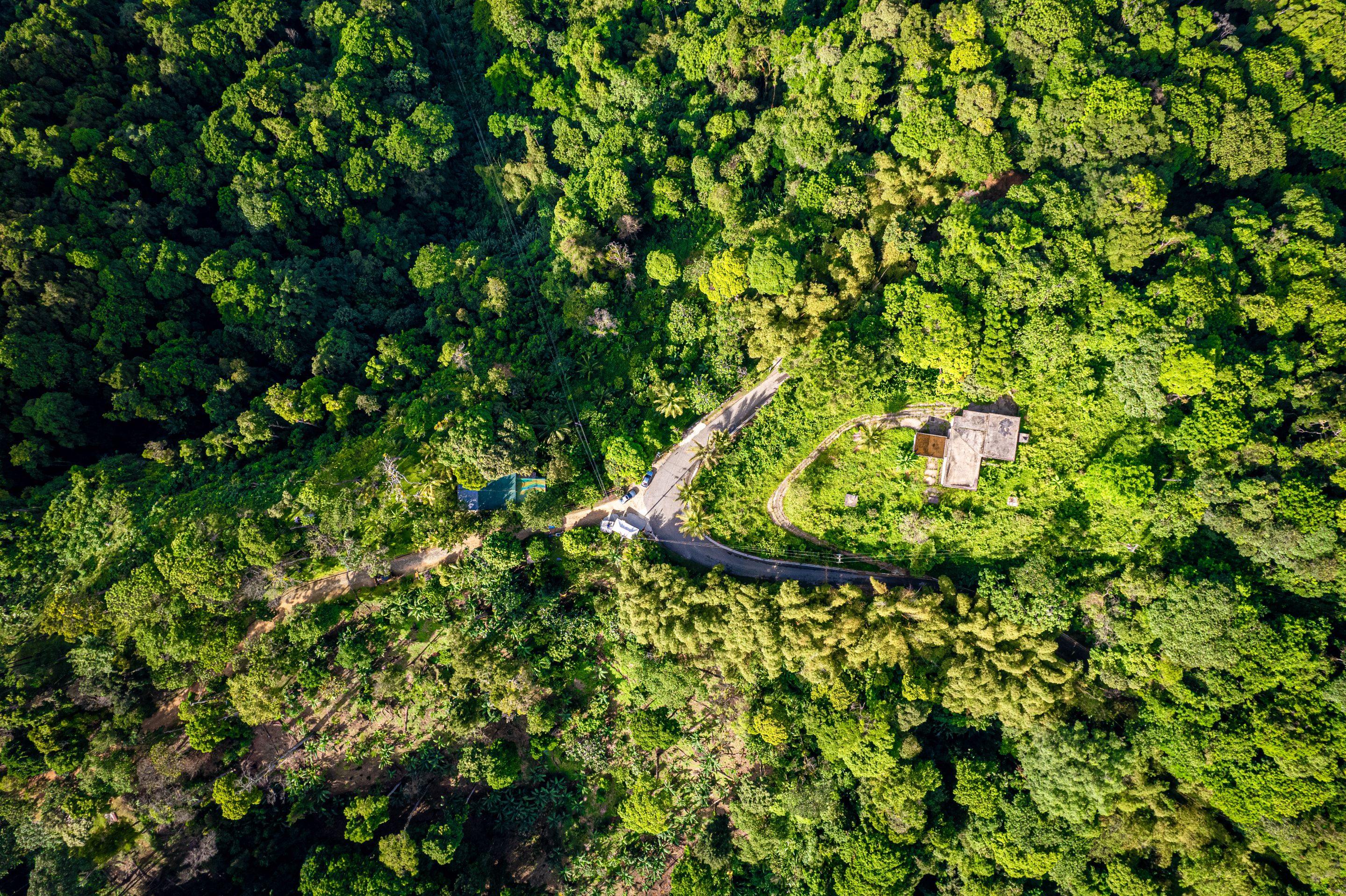 DJI_0653.jpg