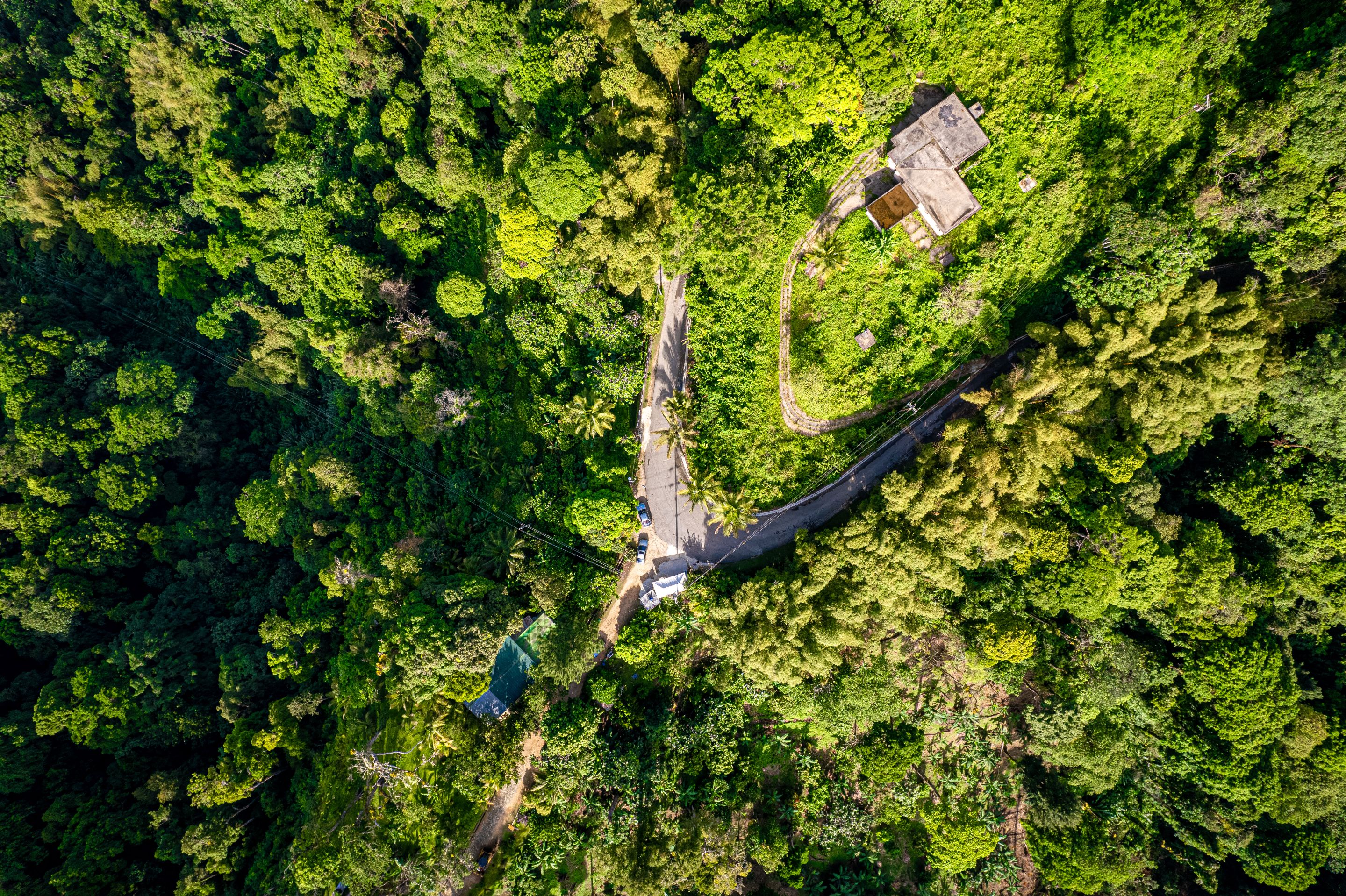 DJI_0652.jpg