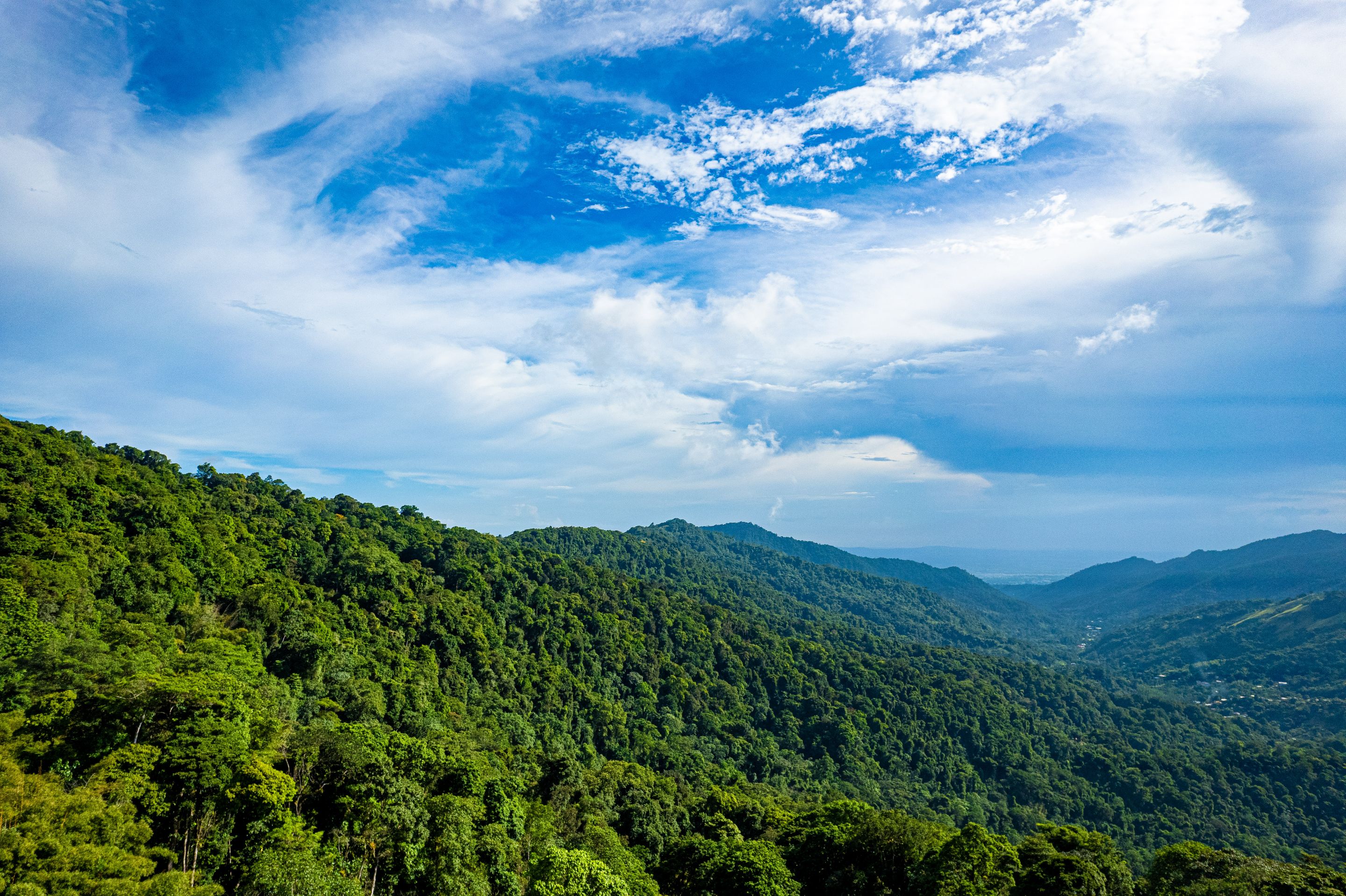 DJI_0641.jpg