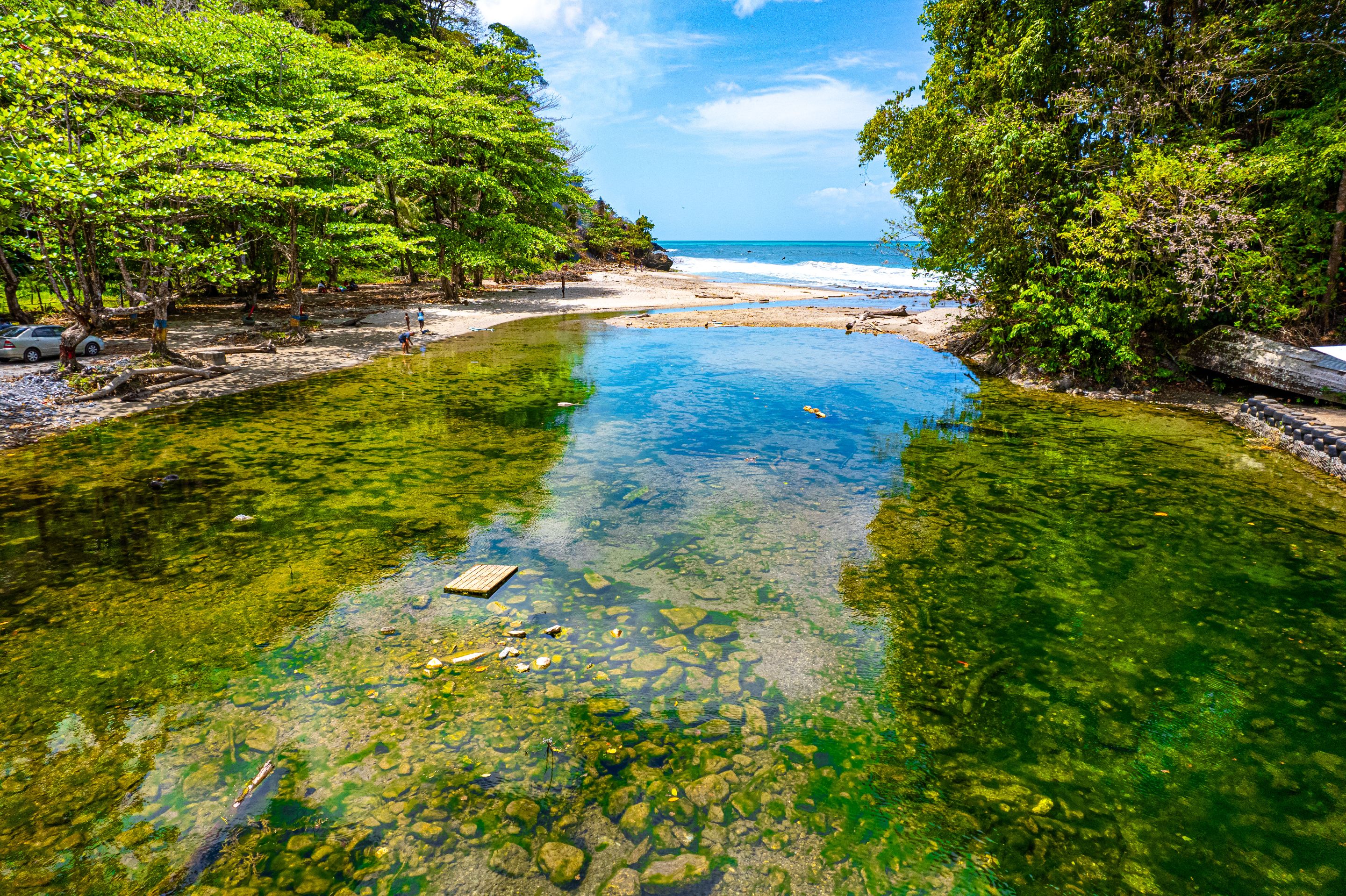 DJI_0460.jpg