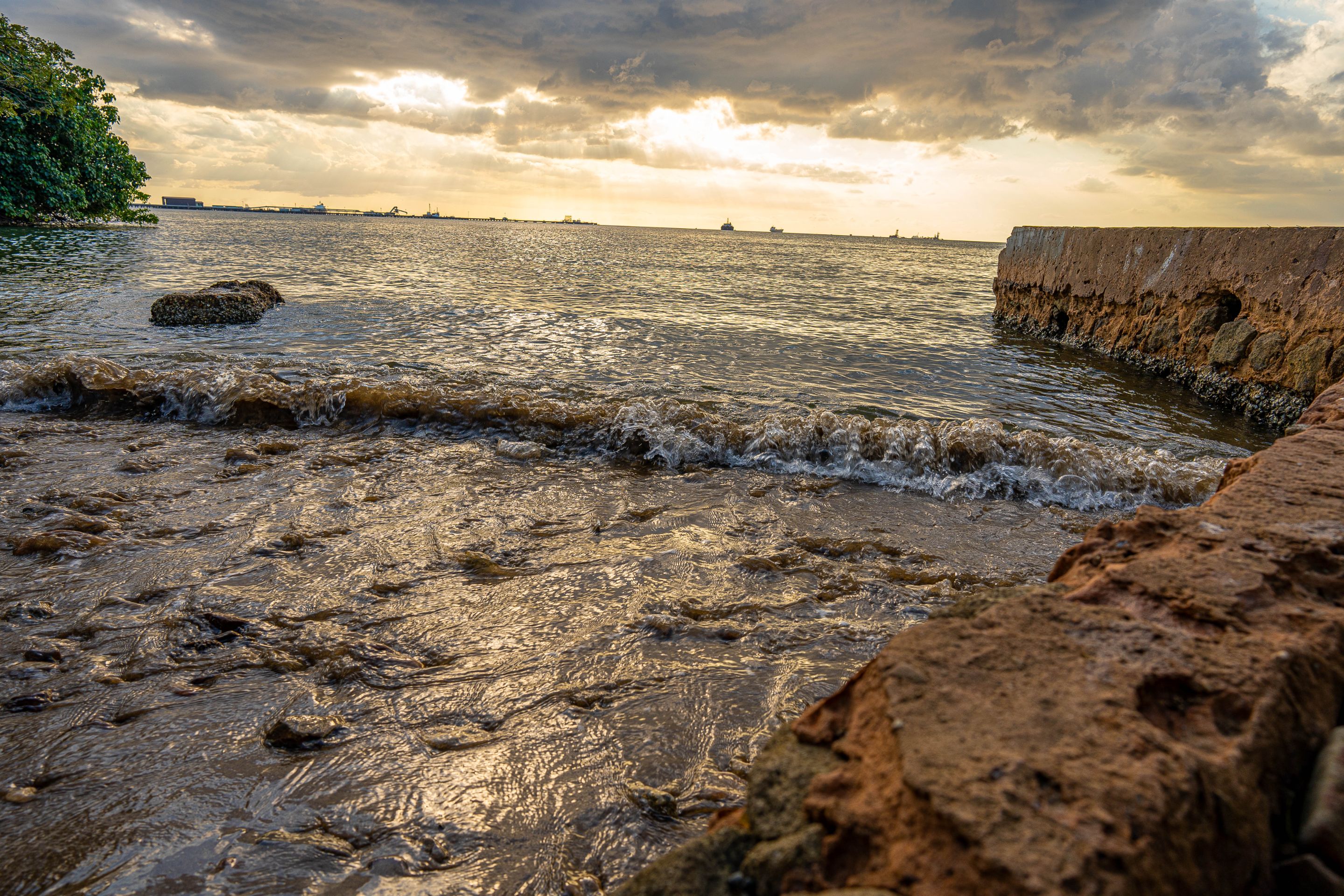 seaesd (11 of 18).jpg
