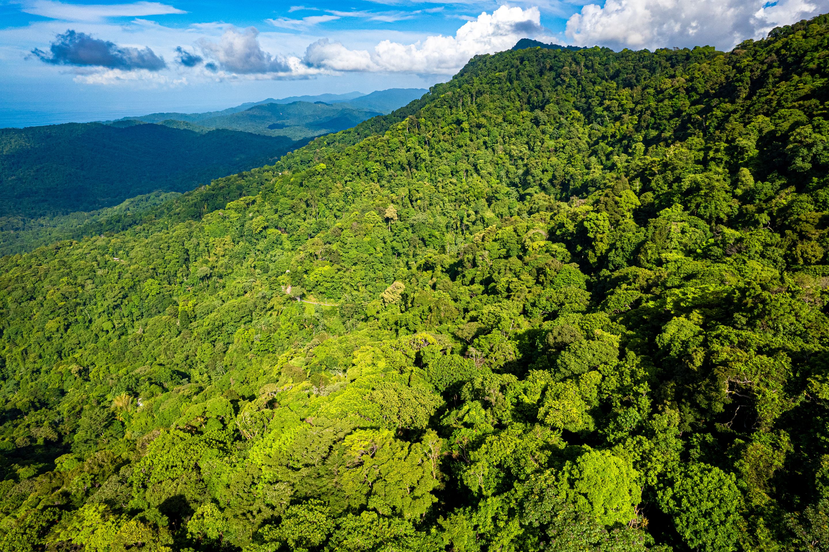 DJI_0637.jpg