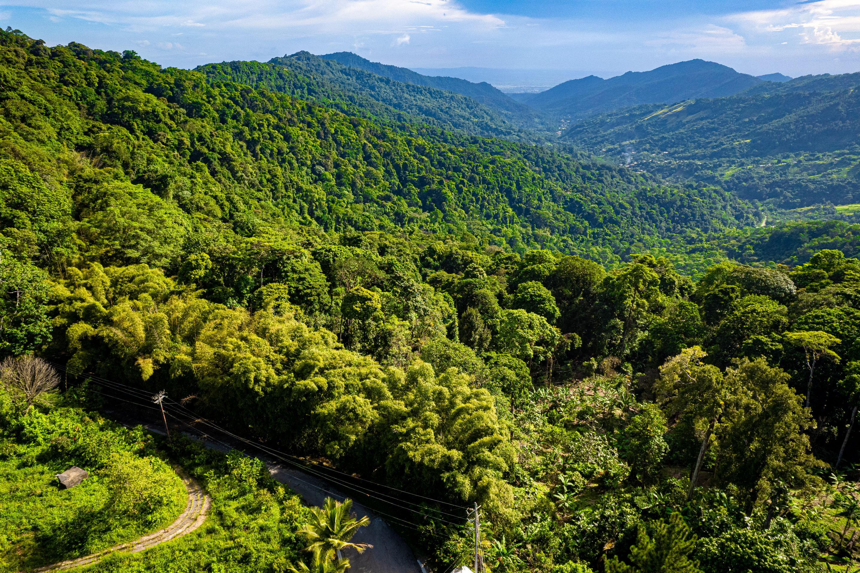 DJI_0632.jpg