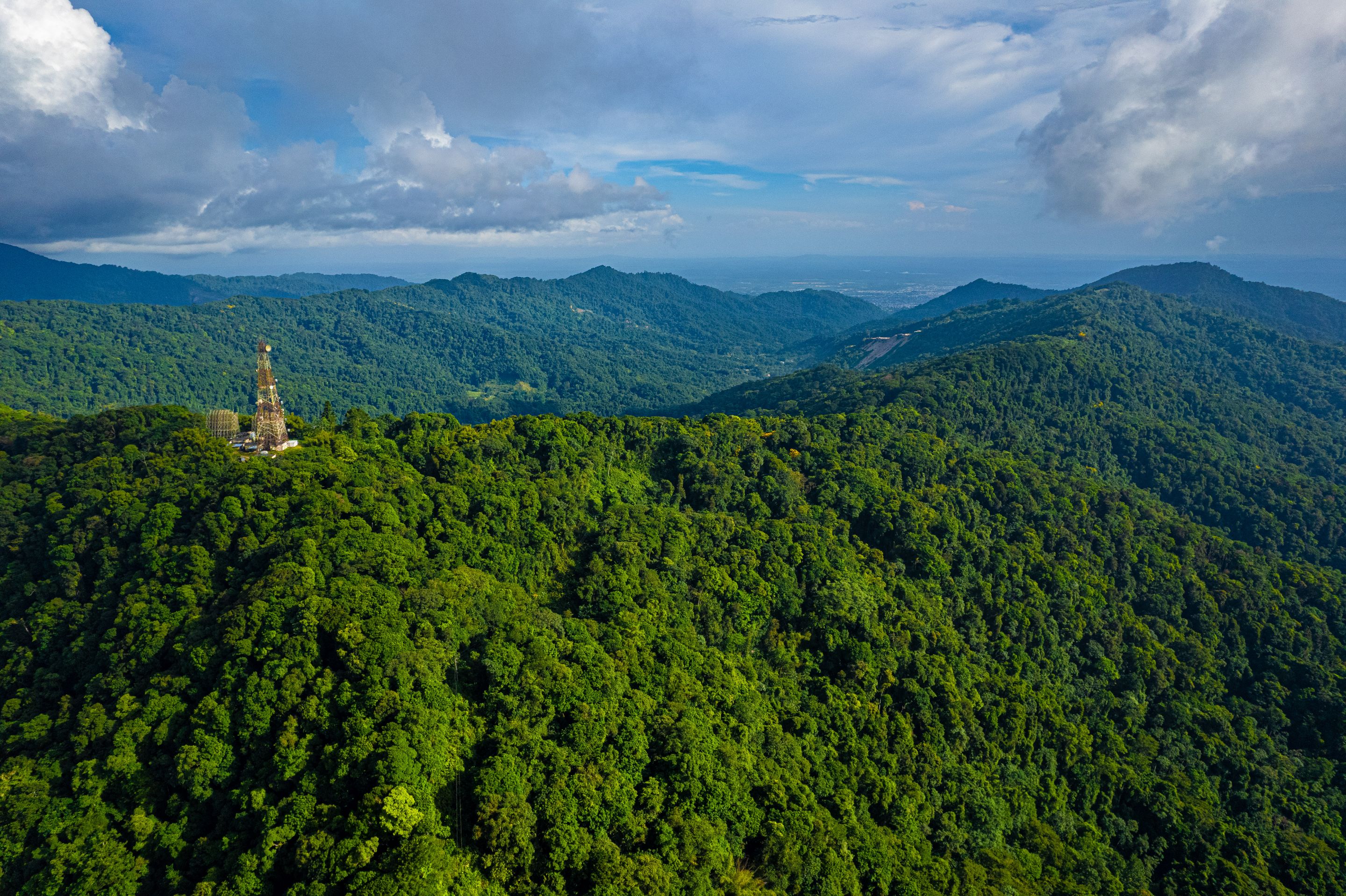 DJI_0659.jpg